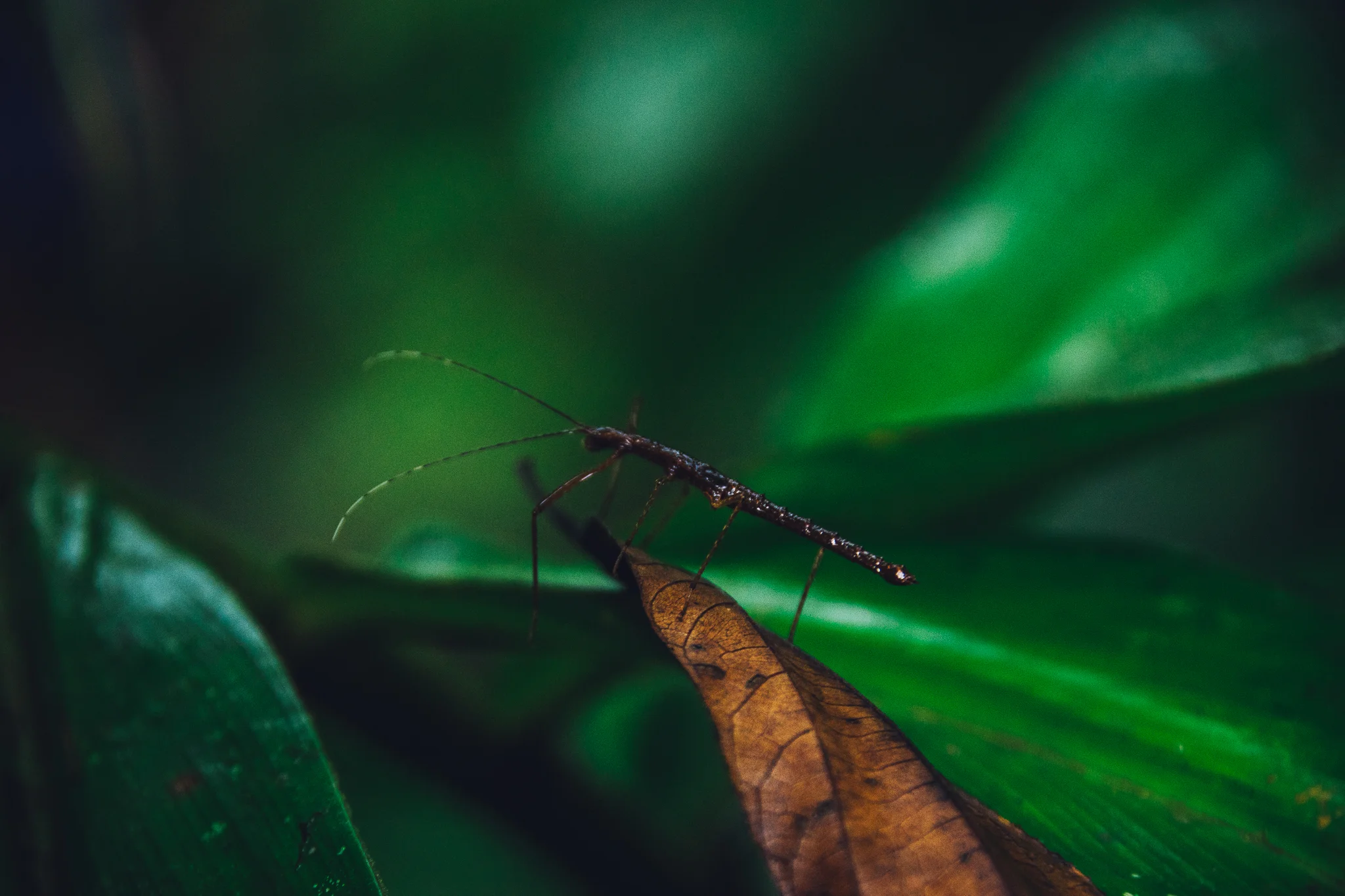 Inna Shnayder @Inna.Shnayder-341.jpg