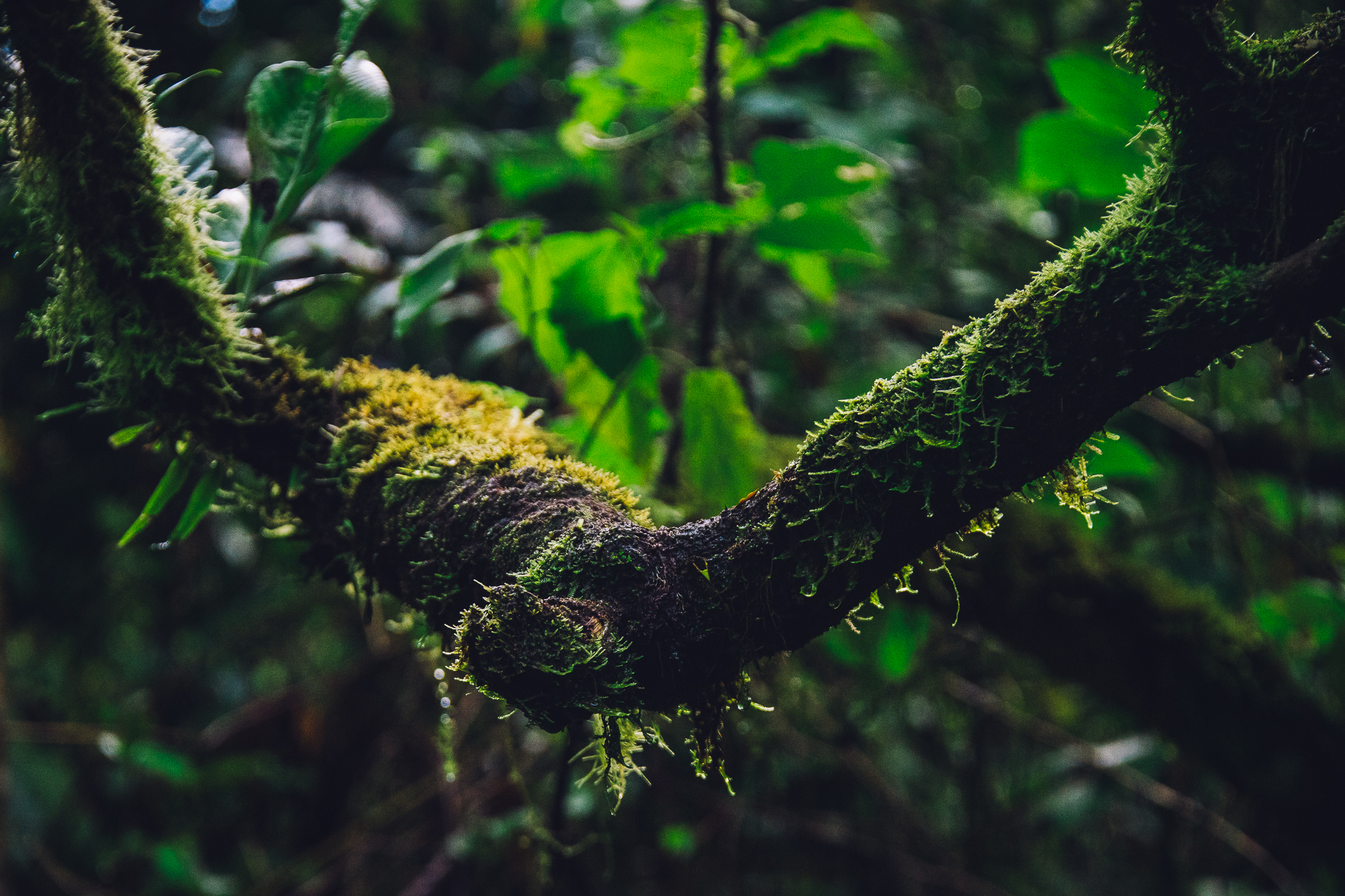 Inna Shnayder @Inna.Shnayder-343.jpg