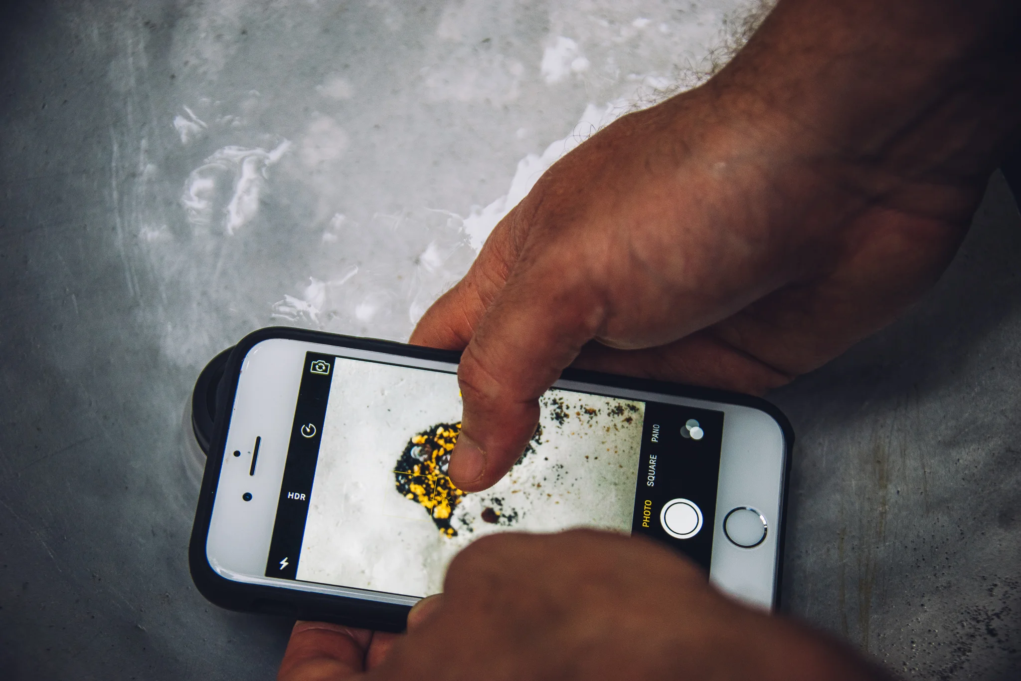 Inna Shnayder @Inna.Shnayder-339.jpg