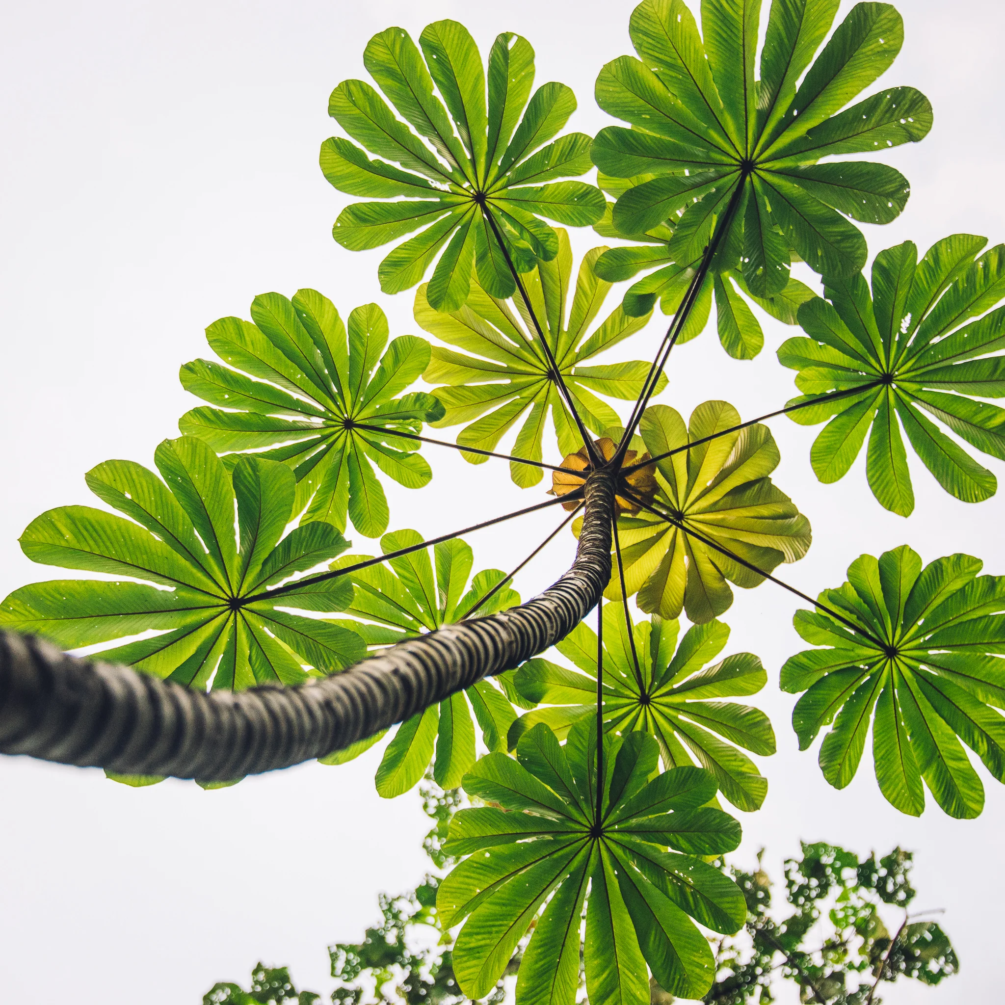 Inna Shnayder @Inna.Shnayder-342.jpg