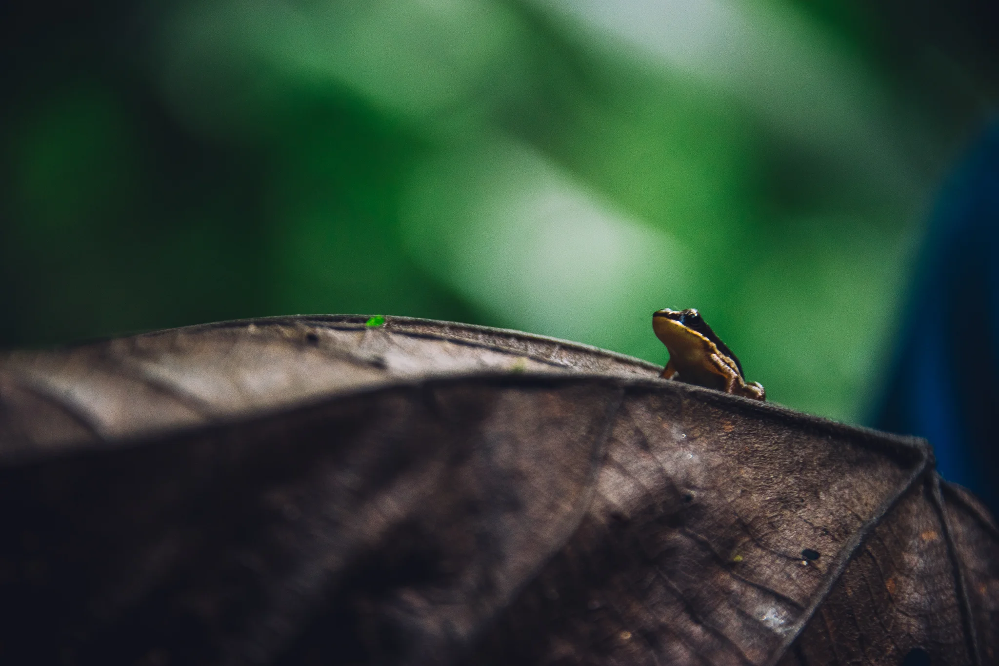 Inna Shnayder @Inna.Shnayder-340.jpg