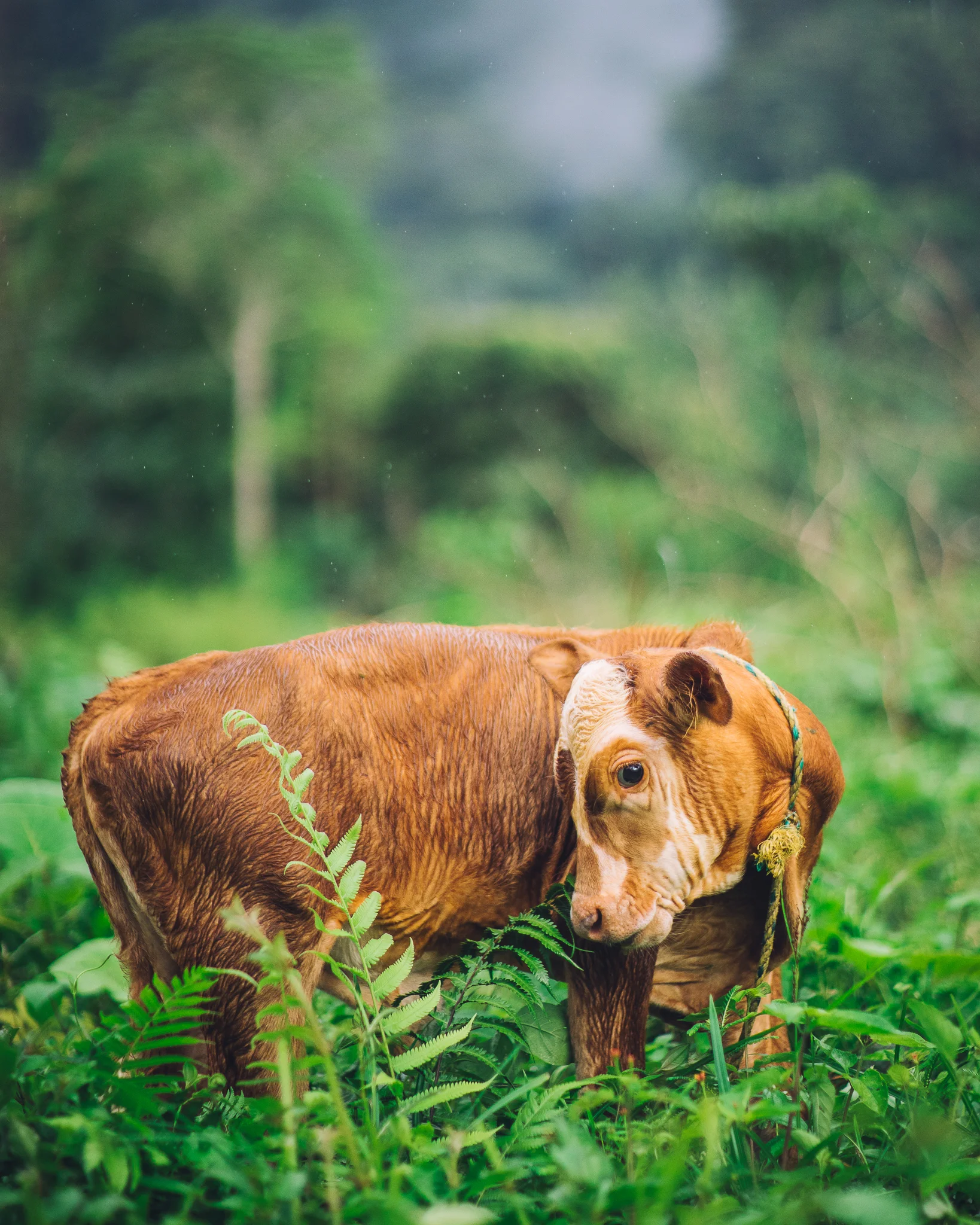 Inna Shnayder @Inna.Shnayder-314.jpg