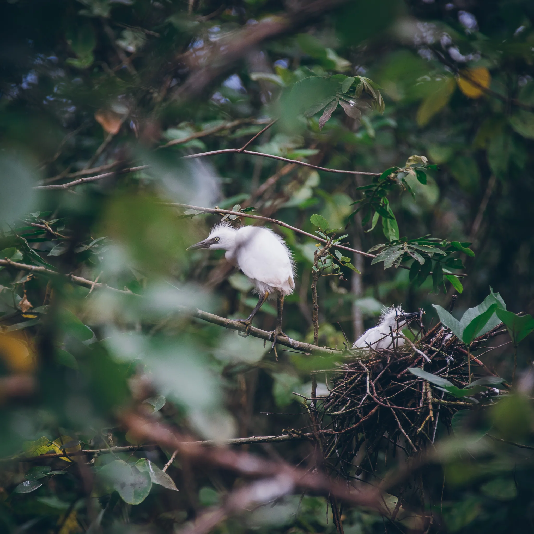 Inna Shnayder @Inna.Shnayder-290.jpg