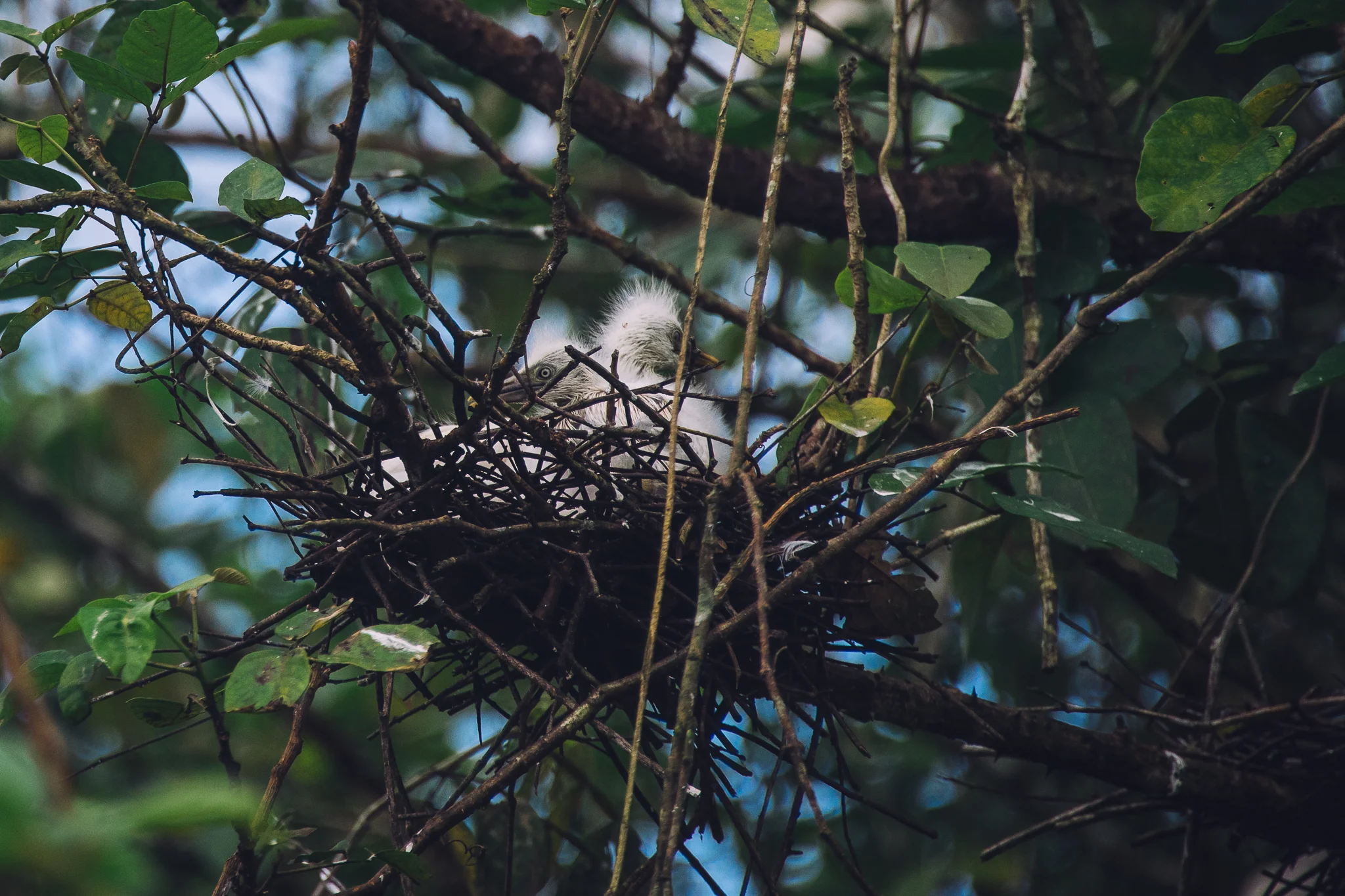 Inna Shnayder @Inna.Shnayder-289.jpg