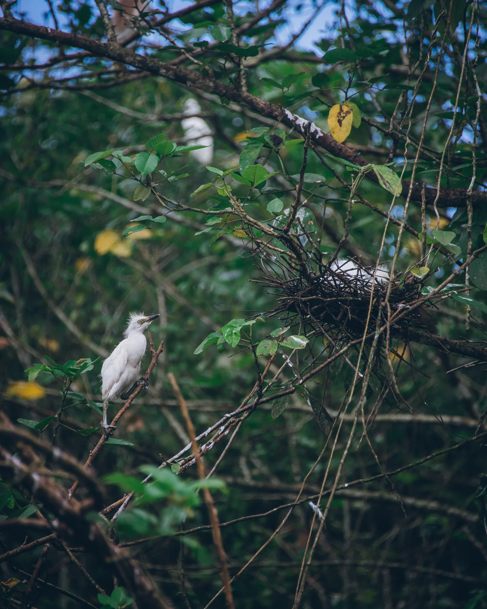 Inna Shnayder @Inna.Shnayder-288.jpg