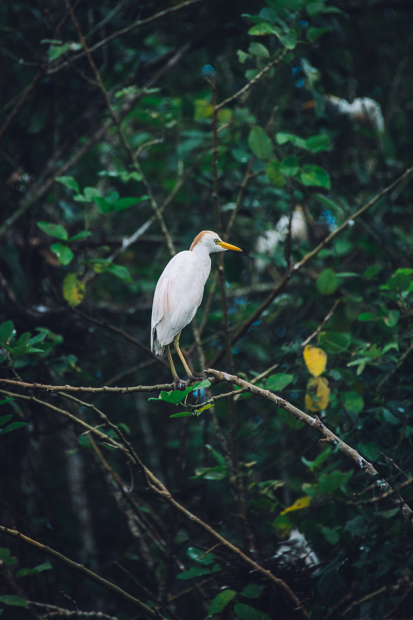 Inna Shnayder @Inna.Shnayder-287.jpg