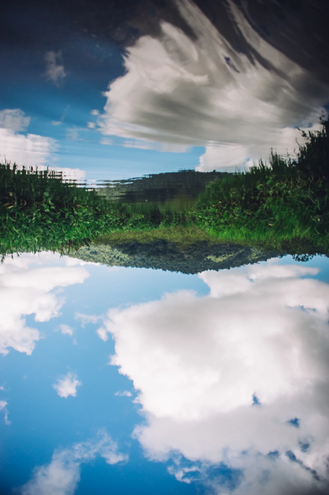 Inna Shnayder @Inna.Shnayder-270.jpg