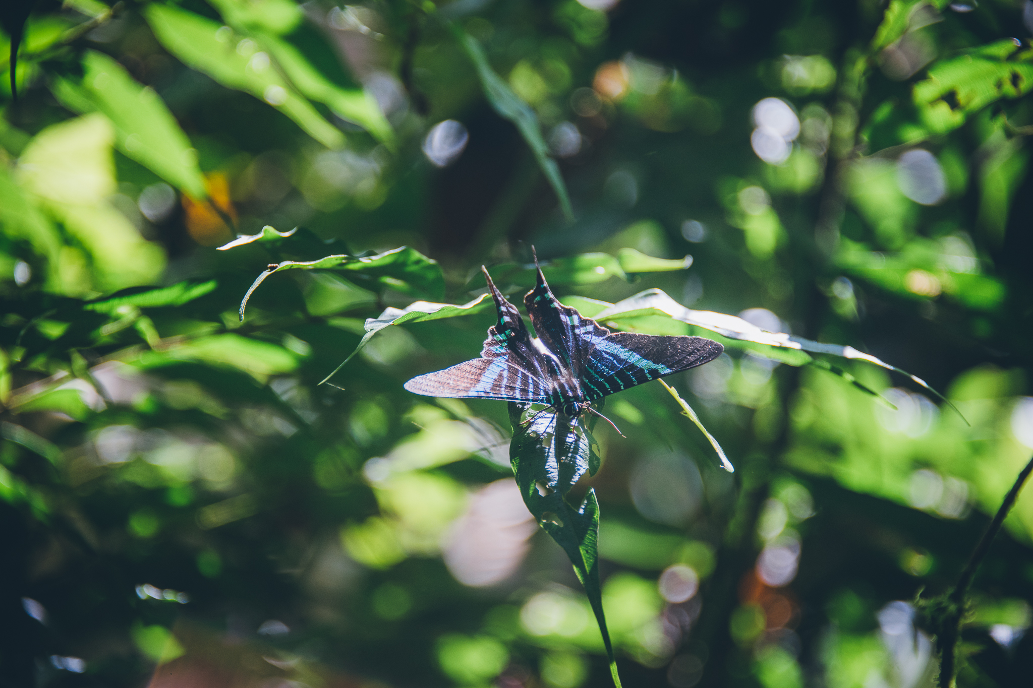 Inna Shnayder @Inna.Shnayder-244.jpg