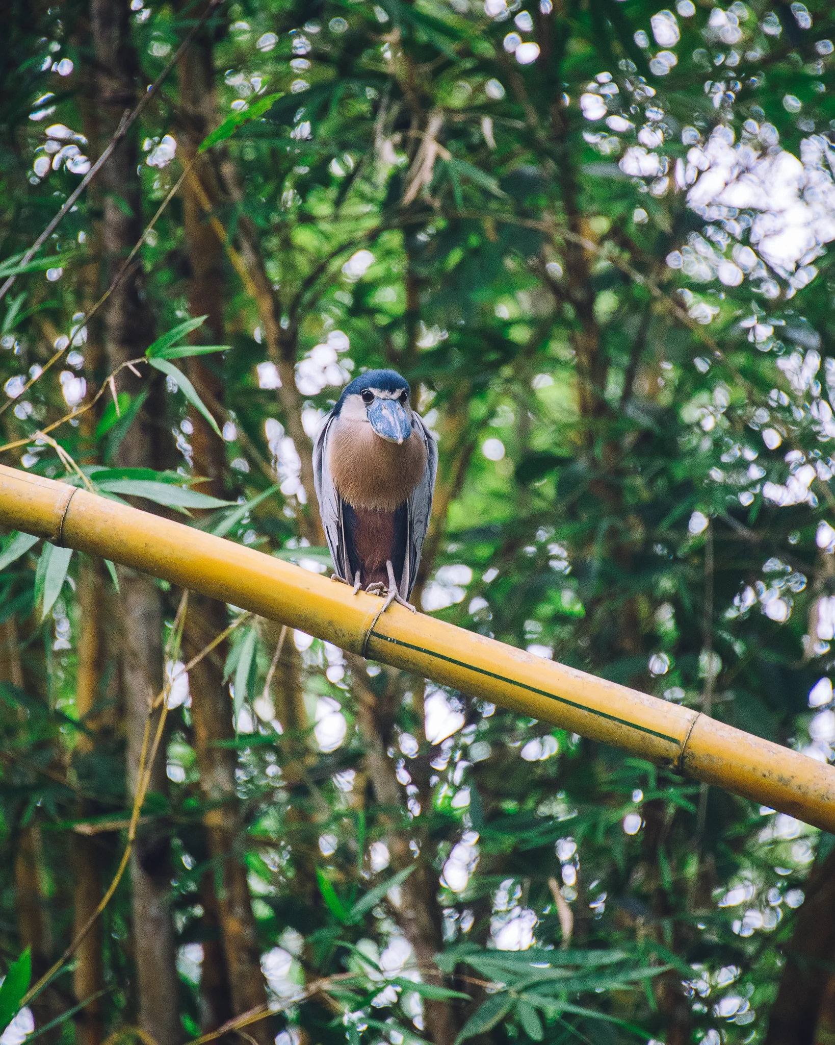 Inna Shnayder @Inna.Shnayder-208.jpg