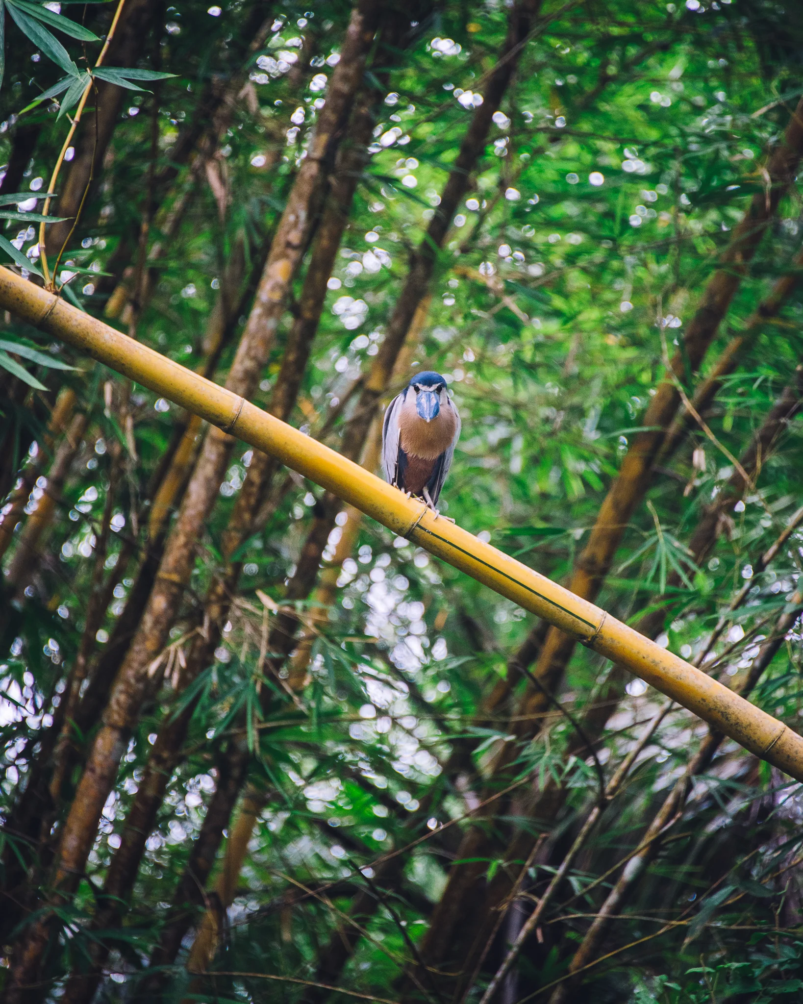 Inna Shnayder @Inna.Shnayder-205.jpg