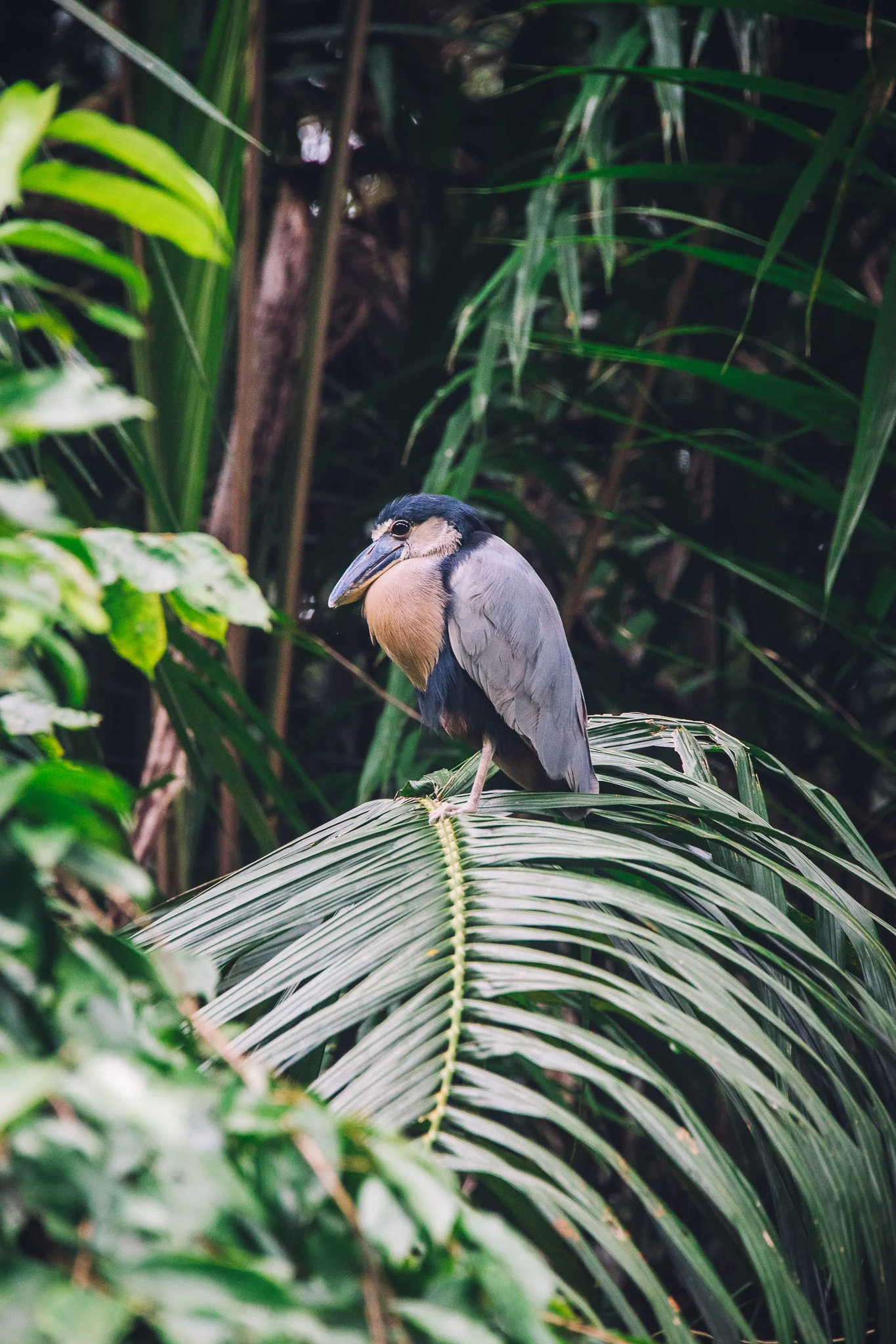 Inna Shnayder @Inna.Shnayder-204.jpg