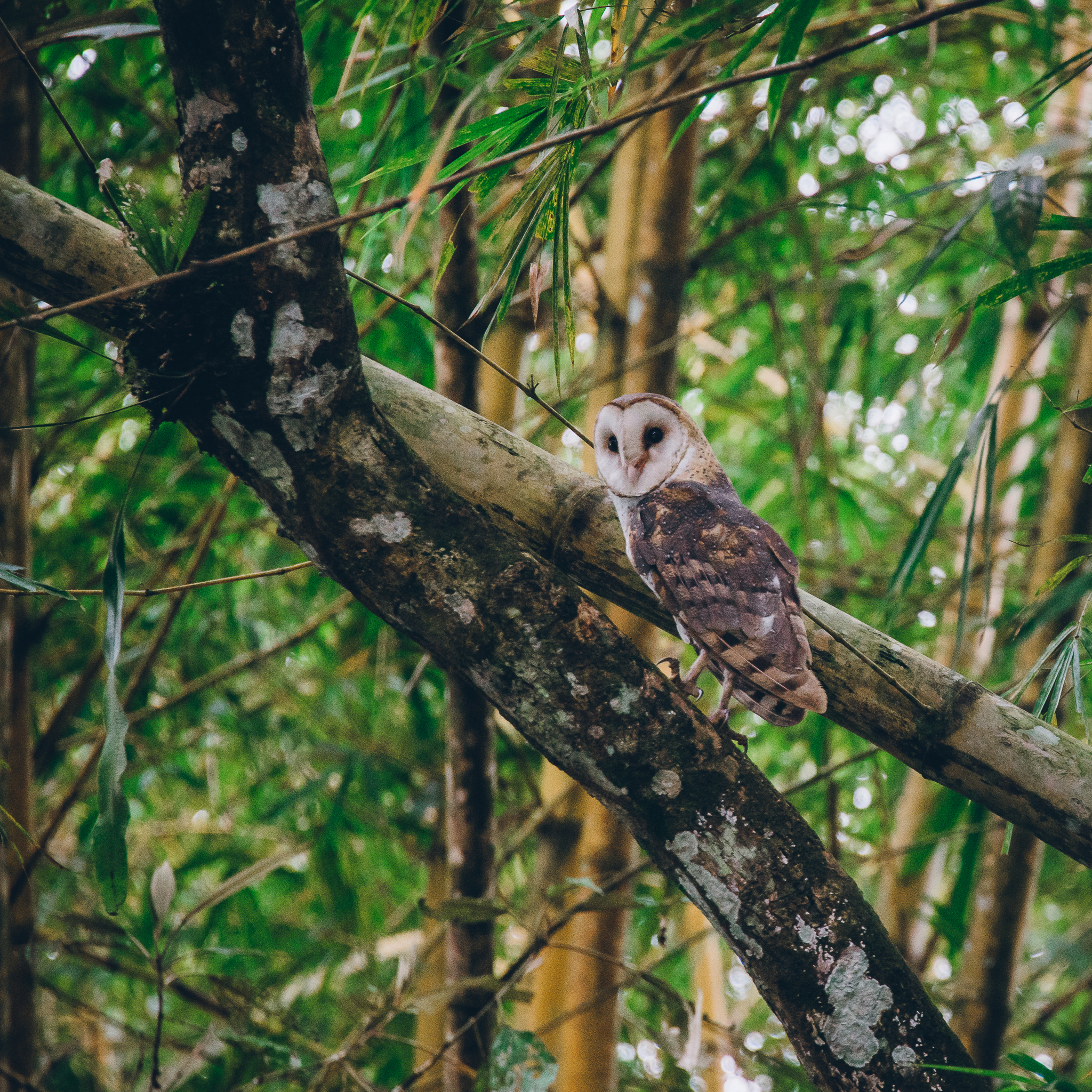 Inna Shnayder @Inna.Shnayder-200.jpg