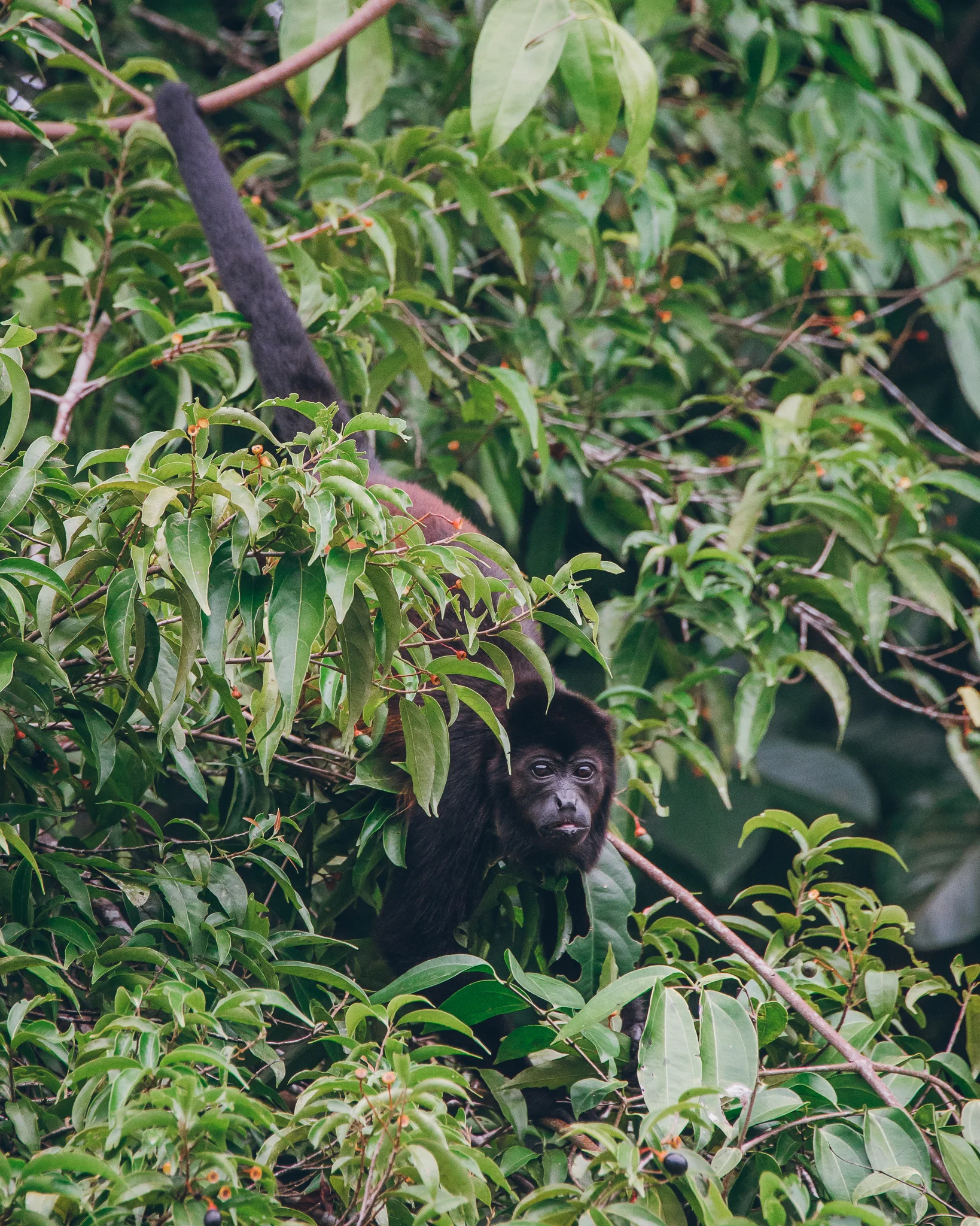 Inna Shnayder @Inna.Shnayder-194.jpg