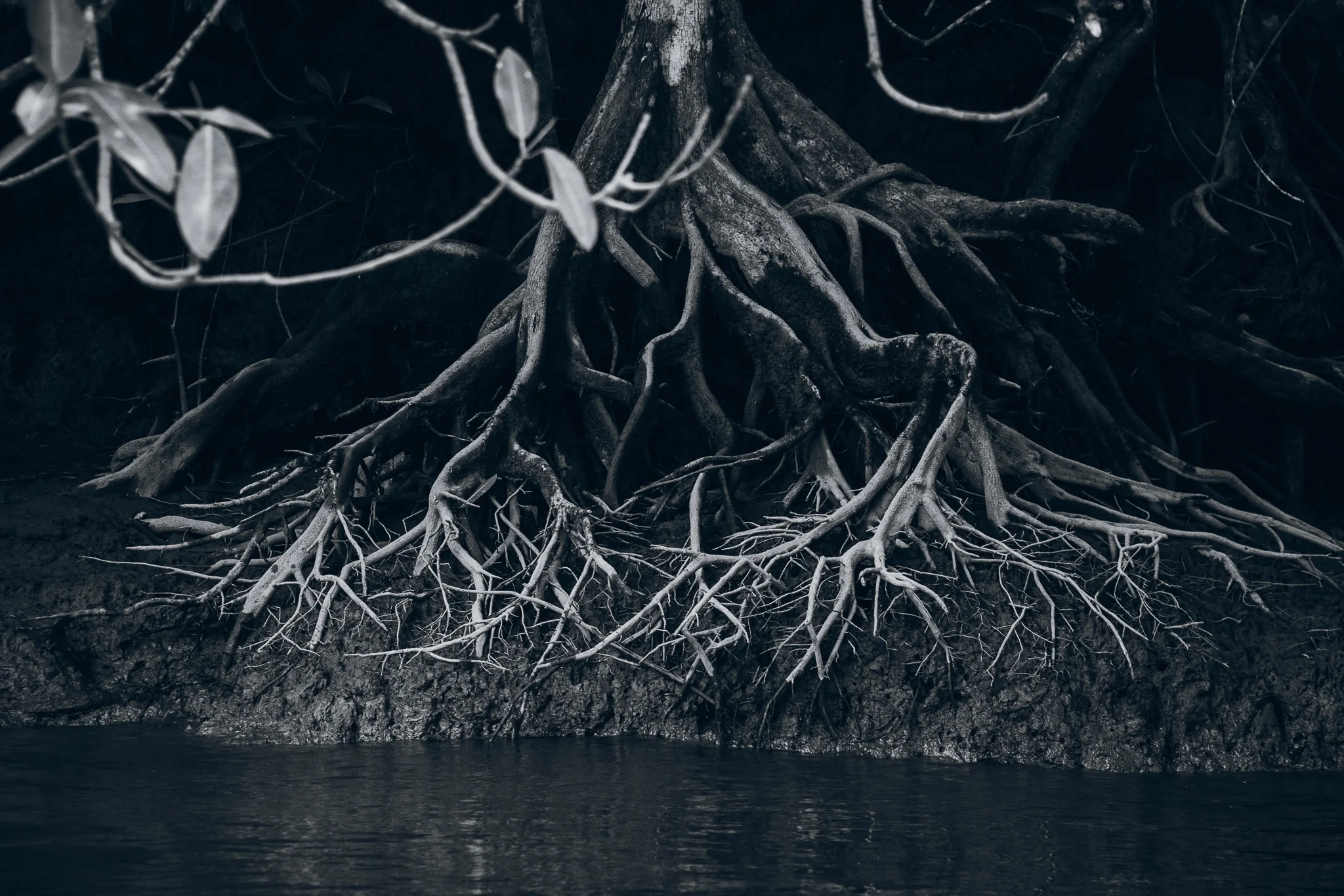 Inna Shnayder @Inna.Shnayder-190.jpg