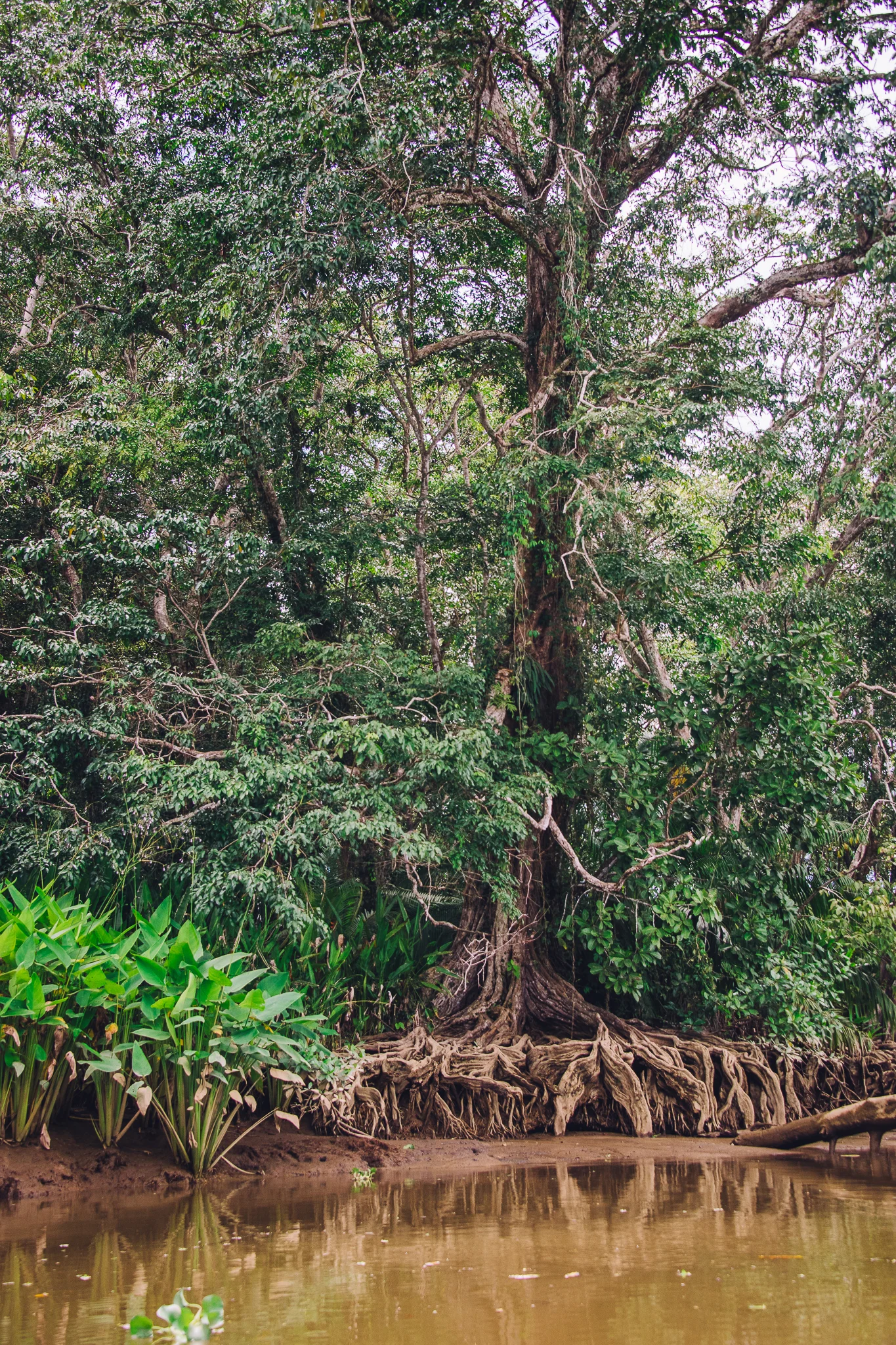 Inna Shnayder @Inna.Shnayder-185.jpg