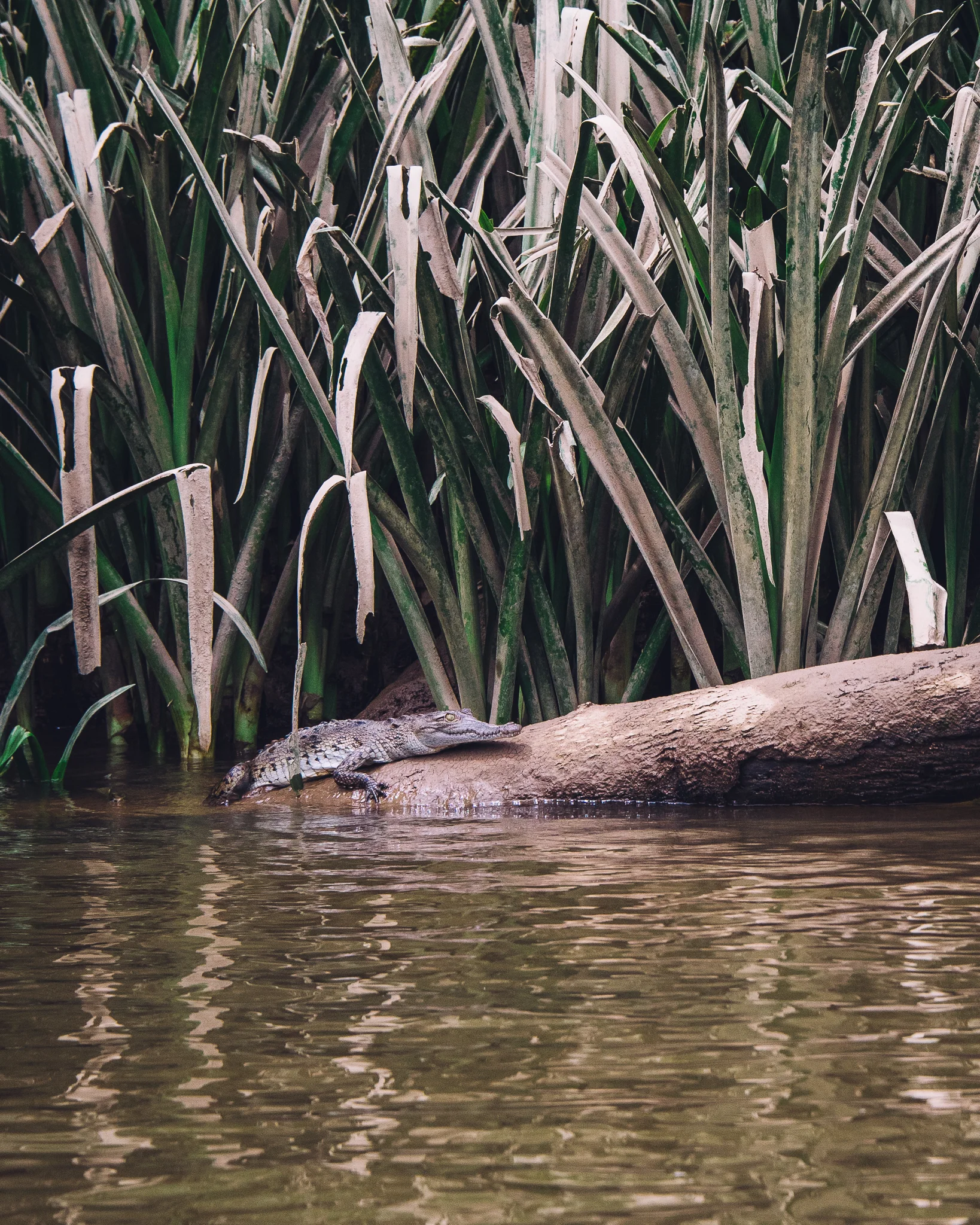 Inna Shnayder @Inna.Shnayder-187.jpg