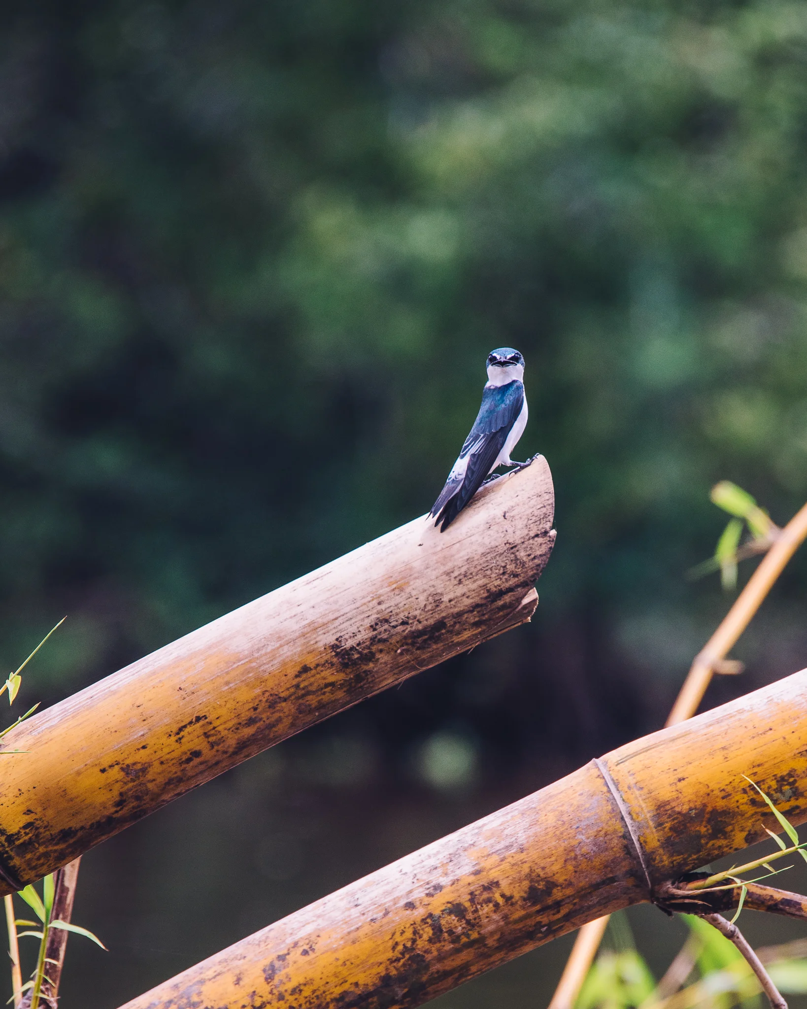 Inna Shnayder @Inna.Shnayder-184.jpg