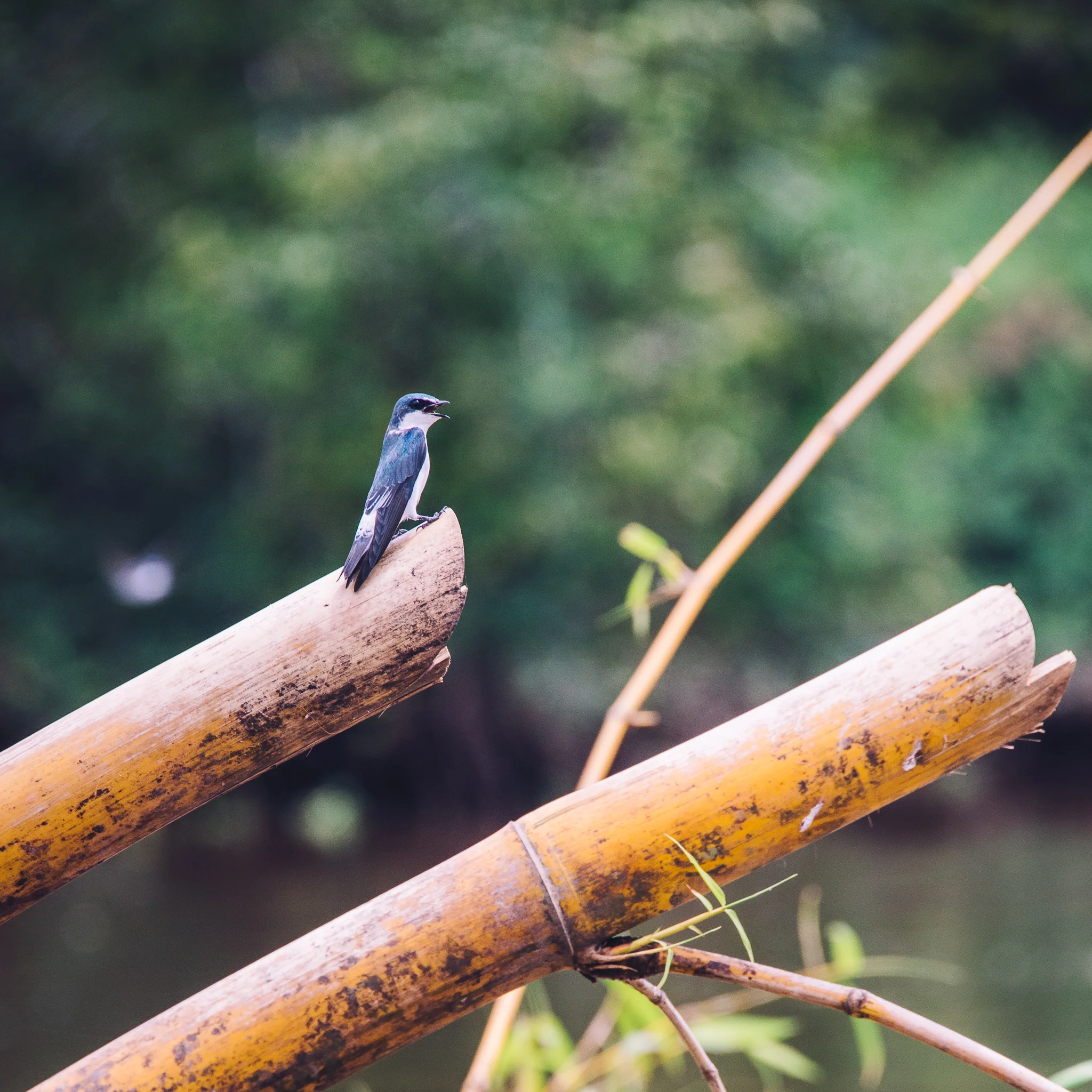 Inna Shnayder @Inna.Shnayder-183.jpg