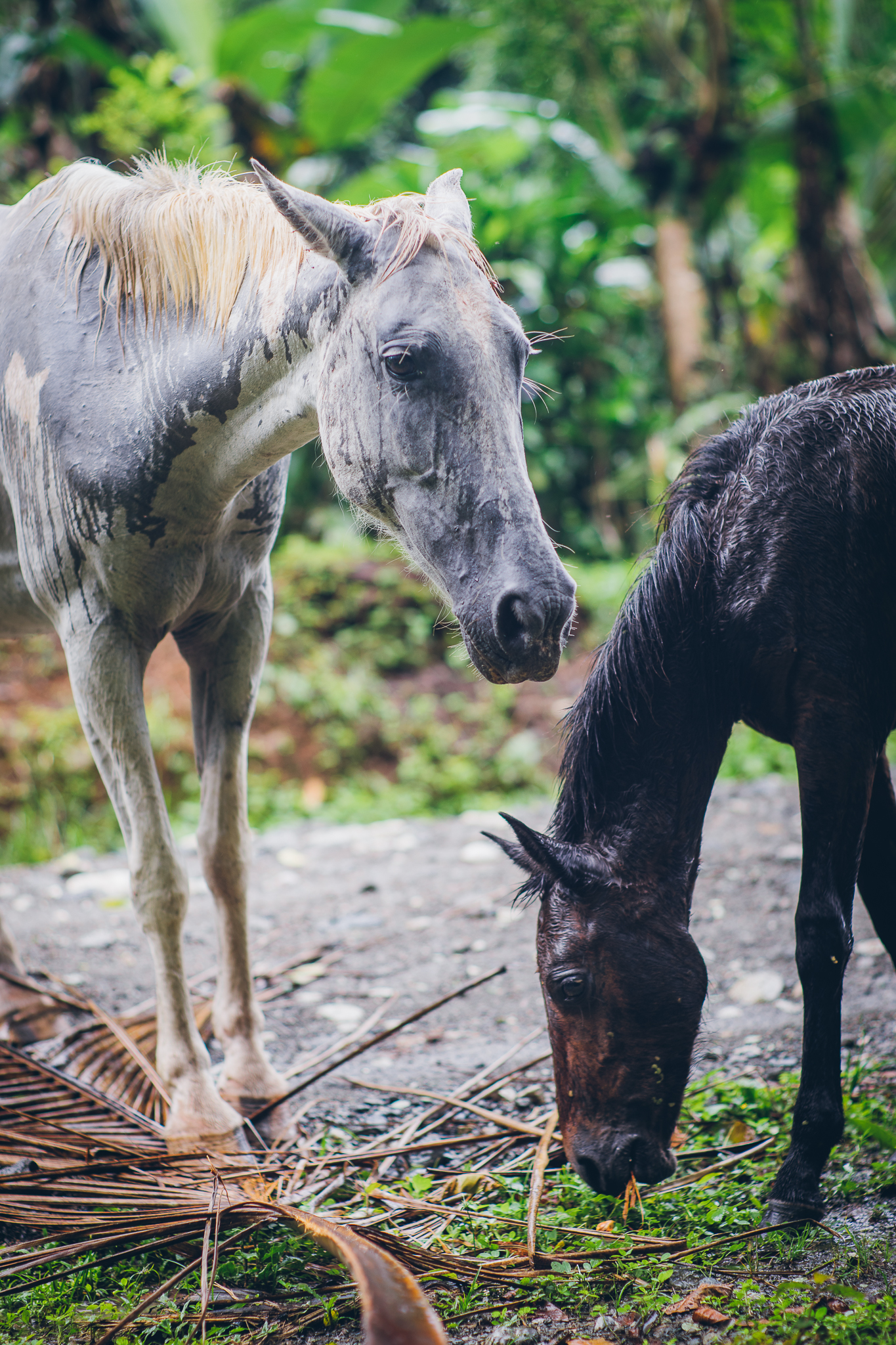 Inna Shnayder @Inna.Shnayder-10.jpg