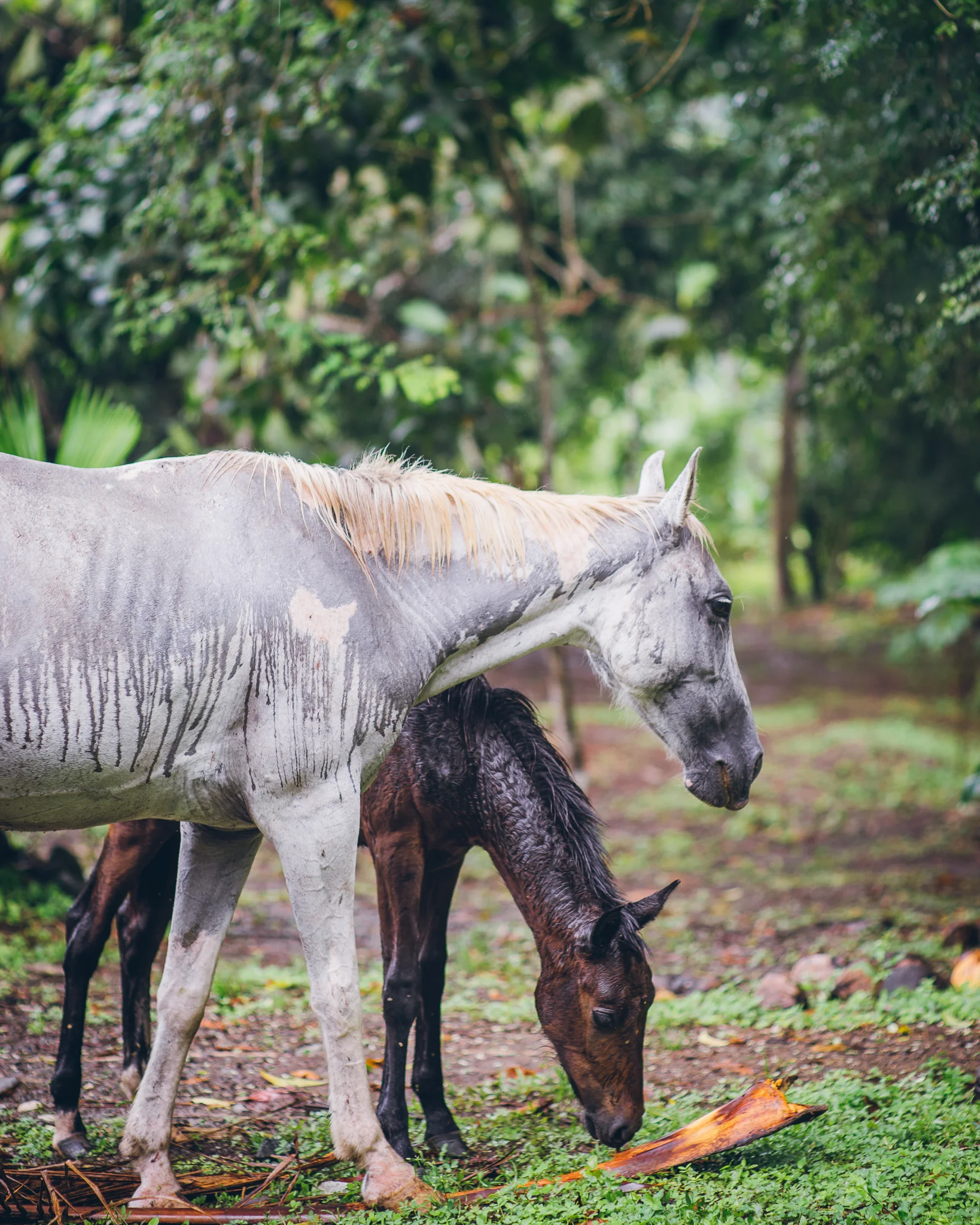 Inna Shnayder @Inna.Shnayder-17.jpg