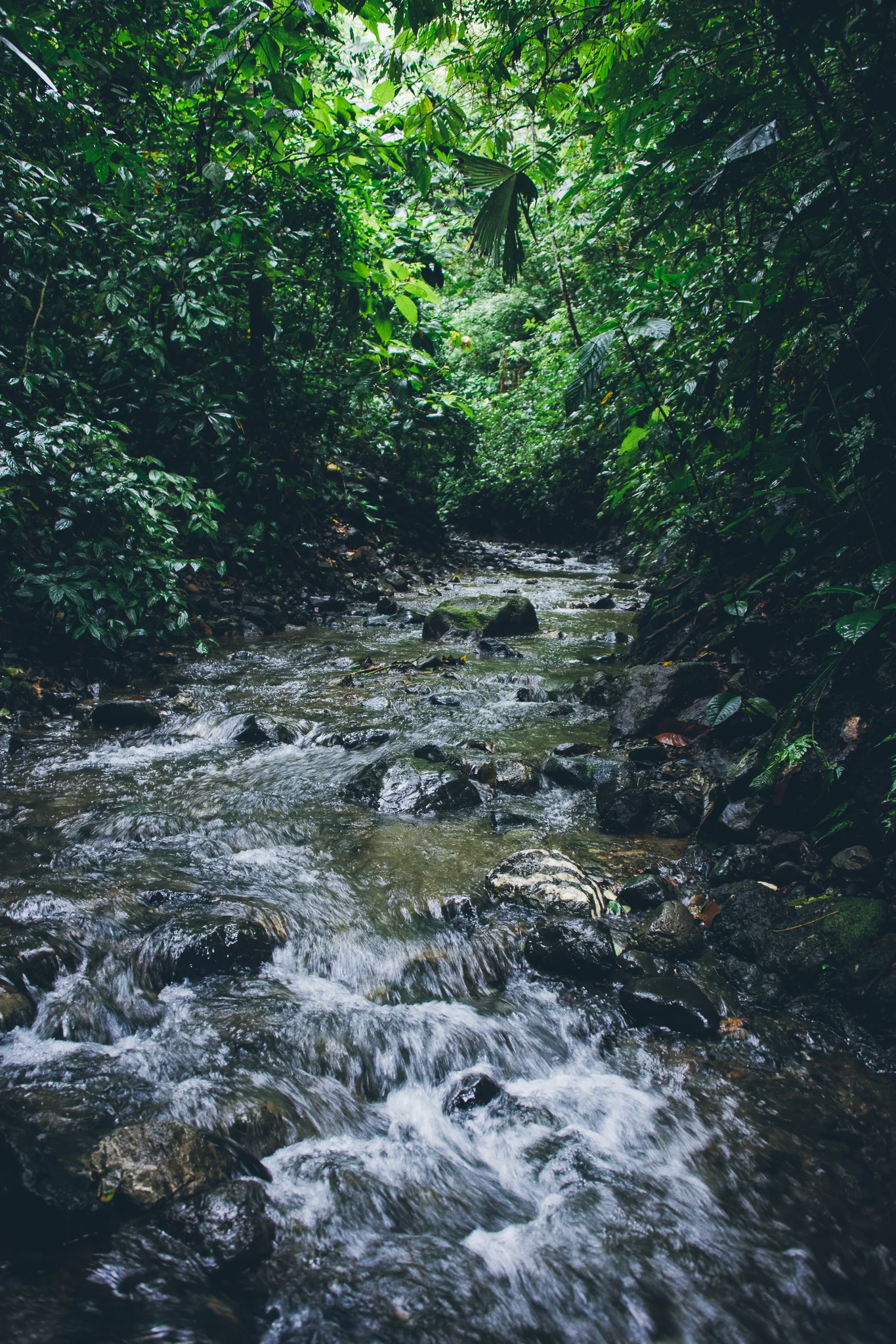 Inna Shnayder @Inna.Shnayder-38.jpg