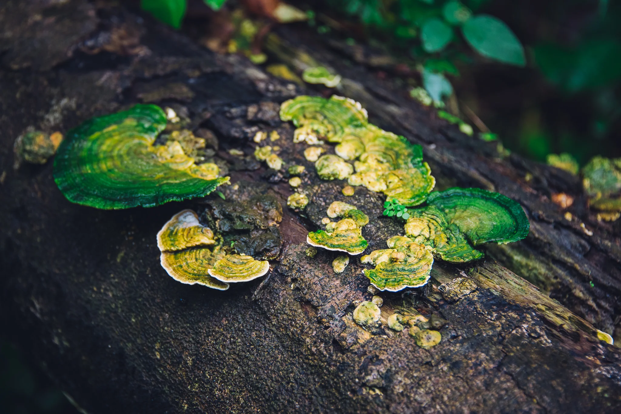 Inna Shnayder @Inna.Shnayder-35.jpg