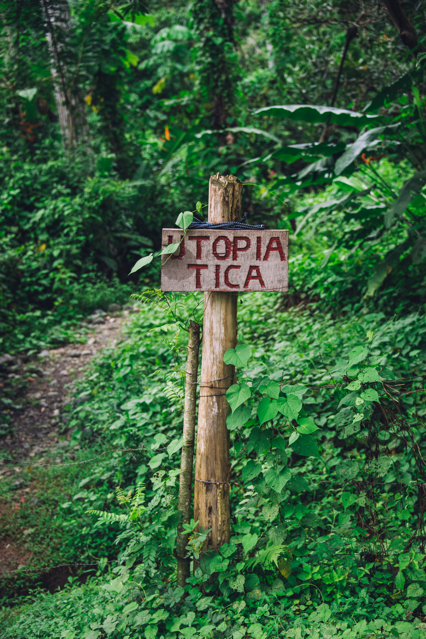 Inna Shnayder @Inna.Shnayder-34.jpg