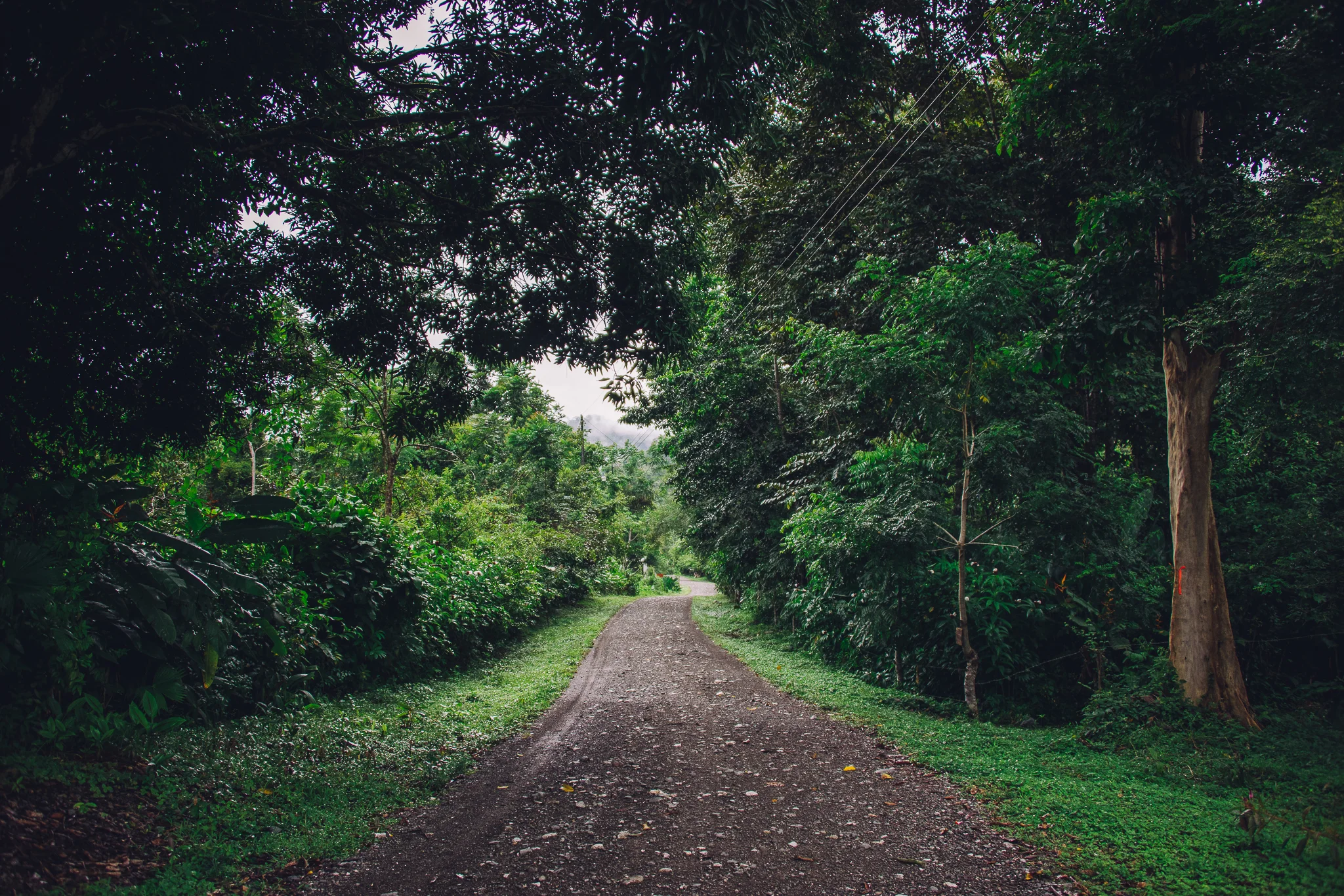 Inna Shnayder @Inna.Shnayder-32.jpg