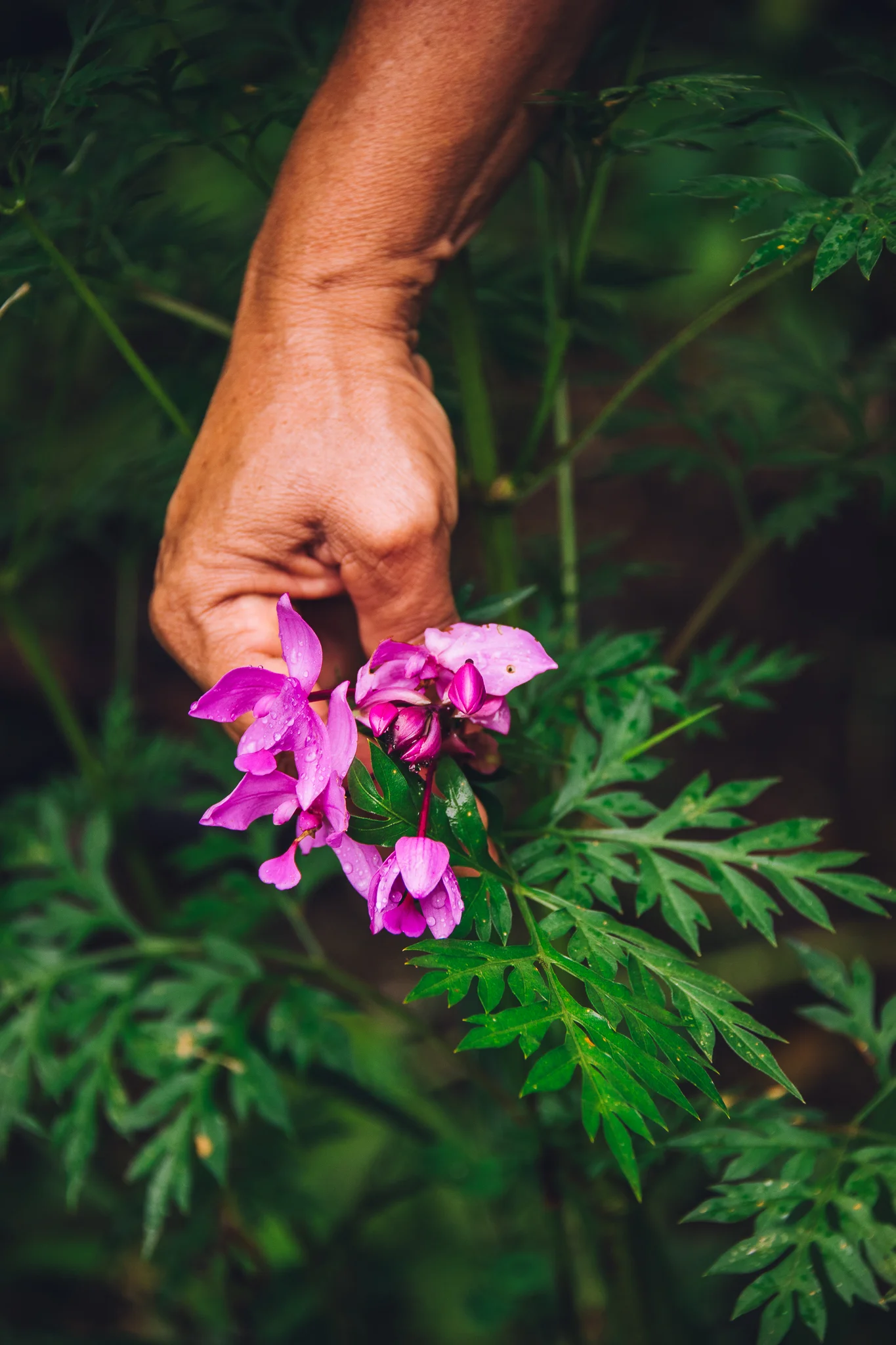 Inna Shnayder @Inna.Shnayder-30.jpg