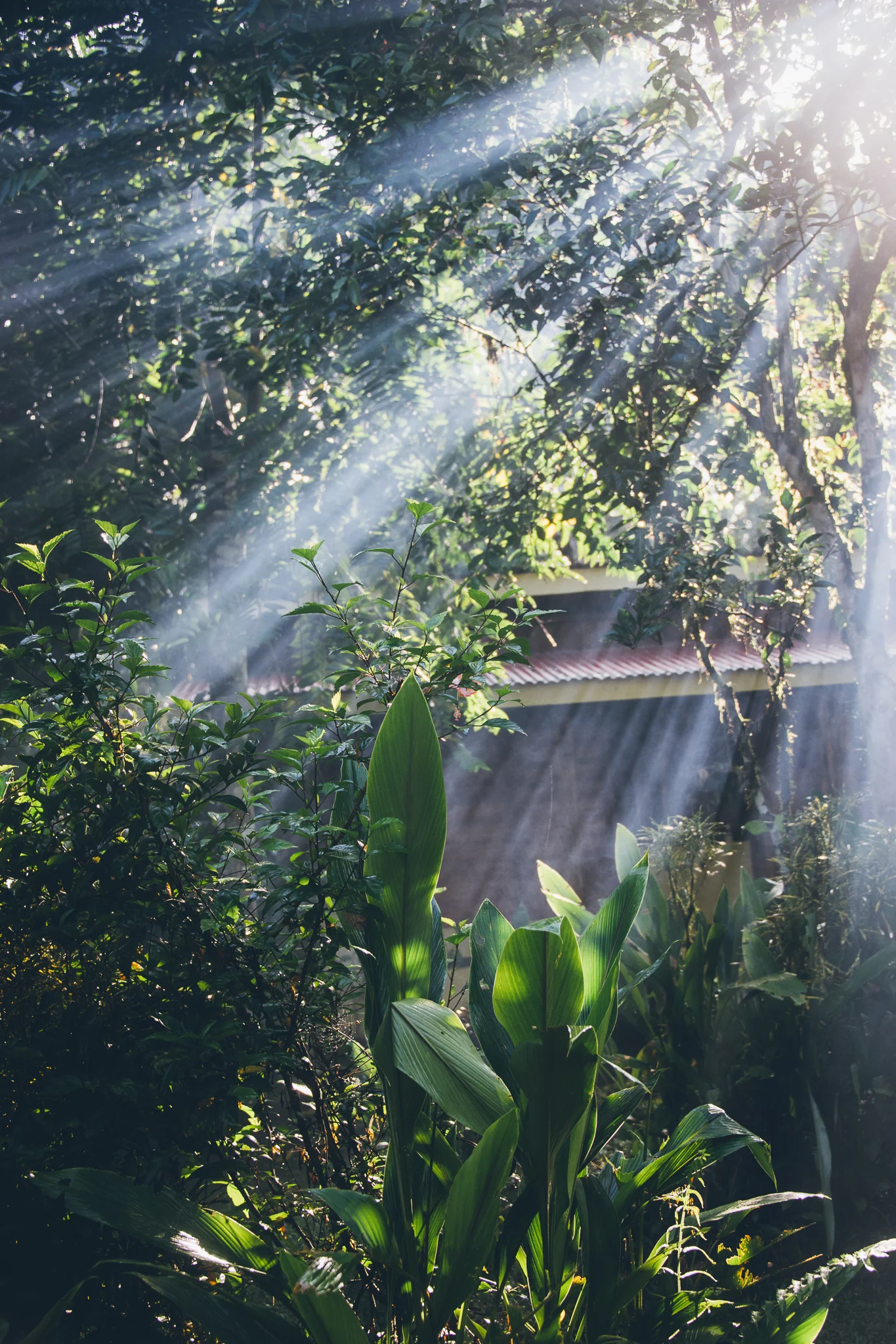 Inna Shnayder @Inna.Shnayder-231.jpg