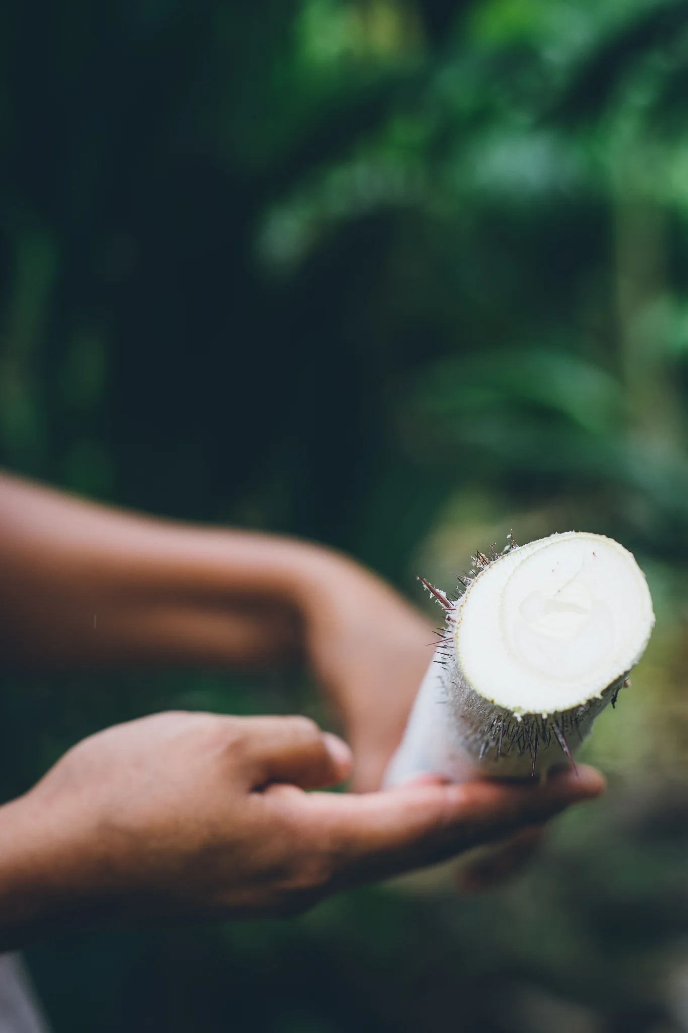 Inna Shnayder @Inna.Shnayder-146.jpg