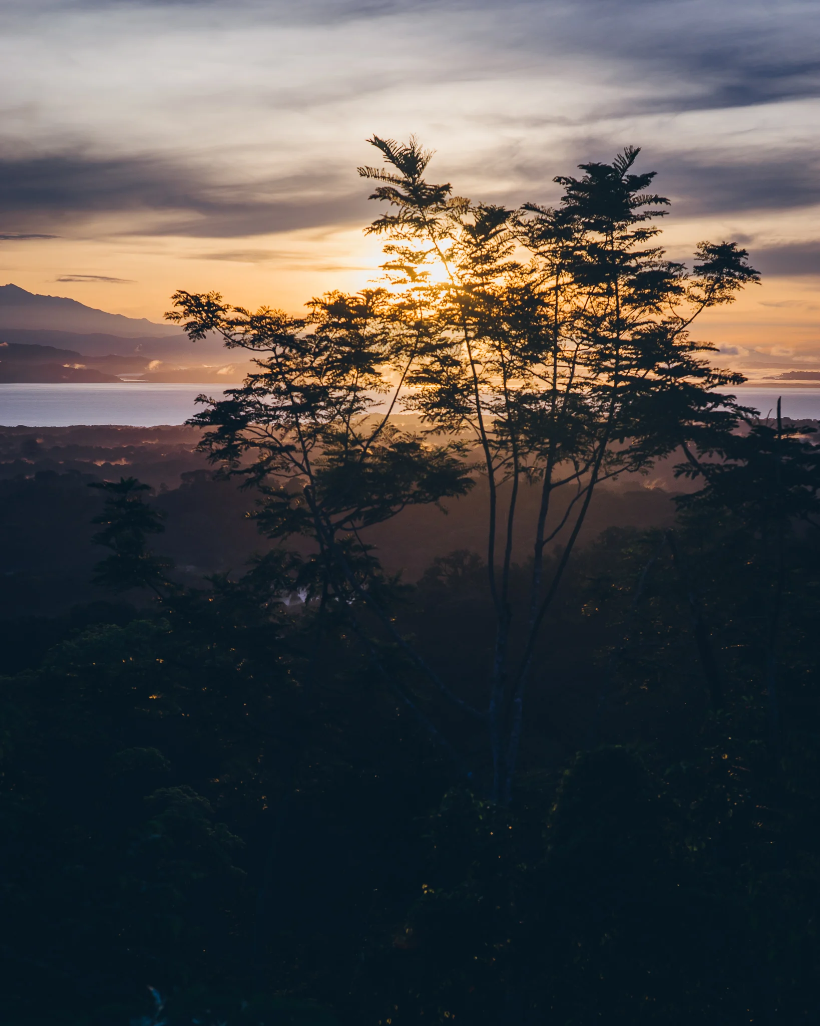 Inna Shnayder @Inna.Shnayder-54.jpg