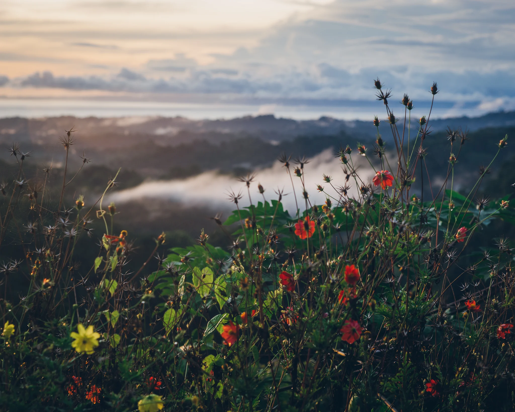 Inna Shnayder @Inna.Shnayder-56.jpg