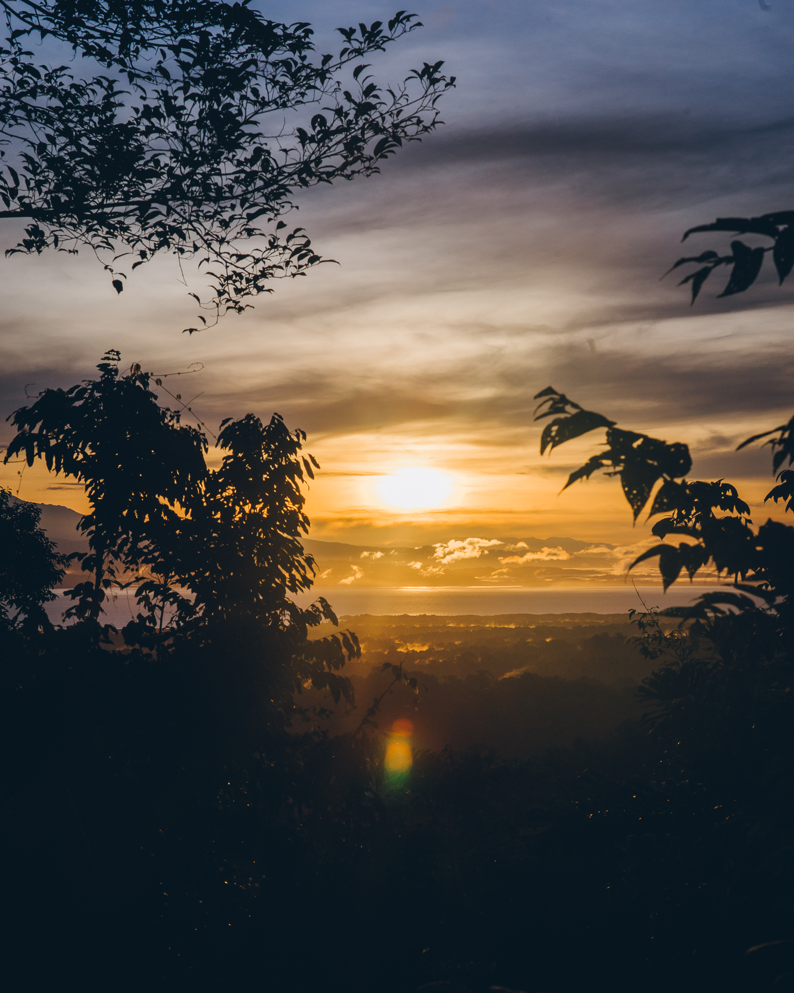 Inna Shnayder @Inna.Shnayder-53.jpg