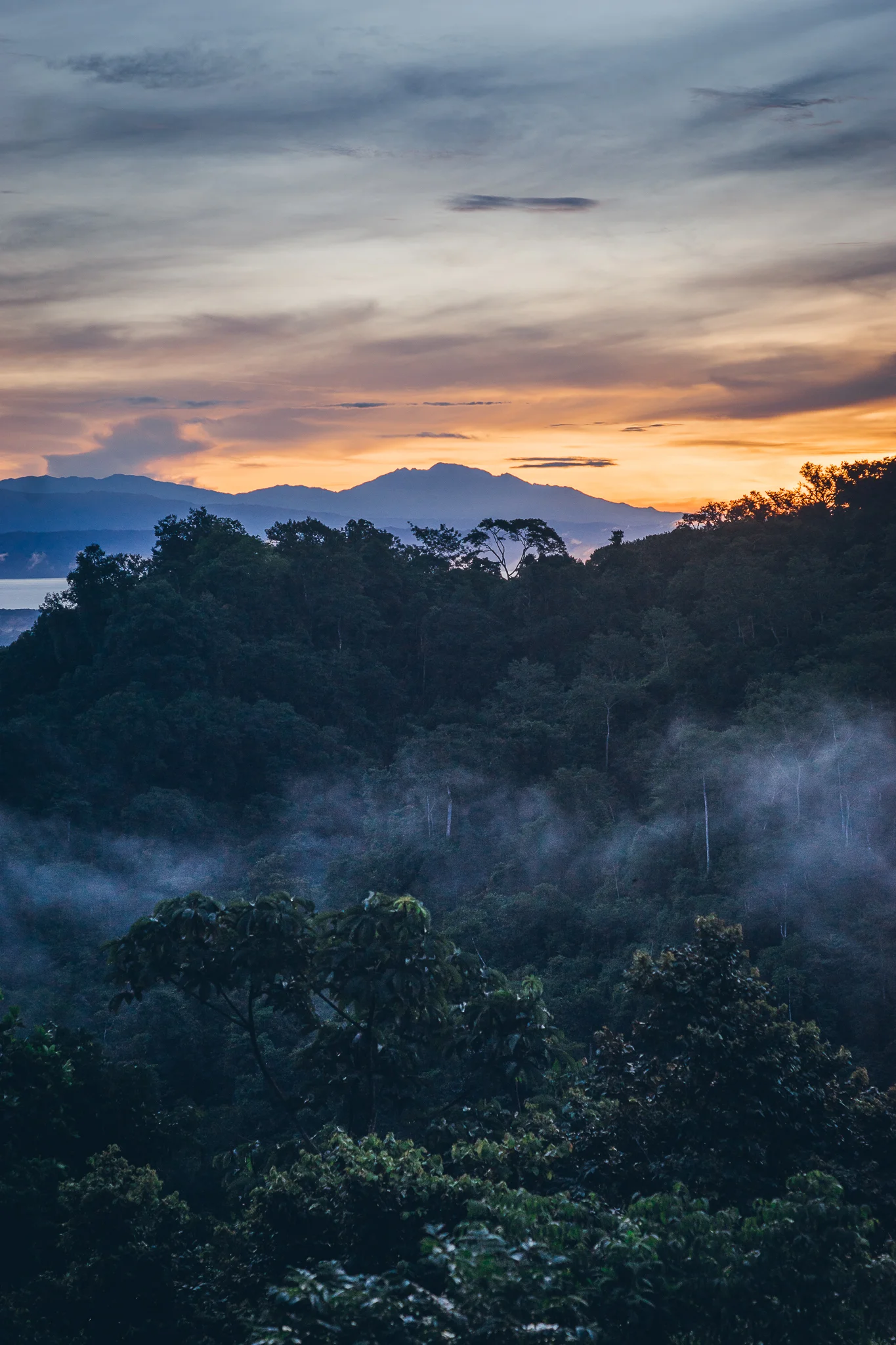 Inna Shnayder @Inna.Shnayder-51.jpg