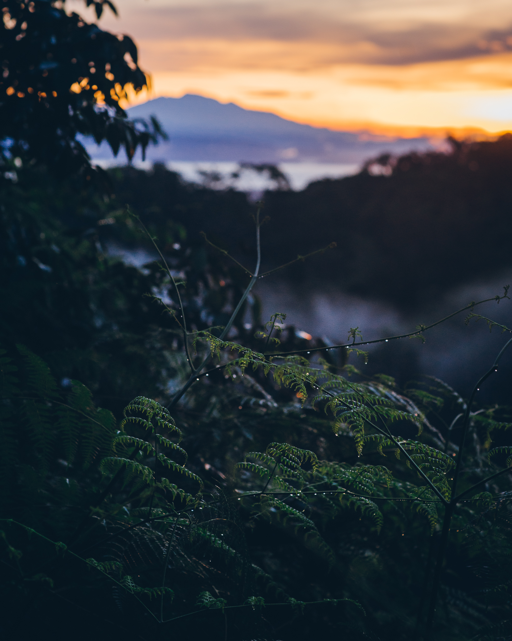 Inna Shnayder @Inna.Shnayder-52.jpg