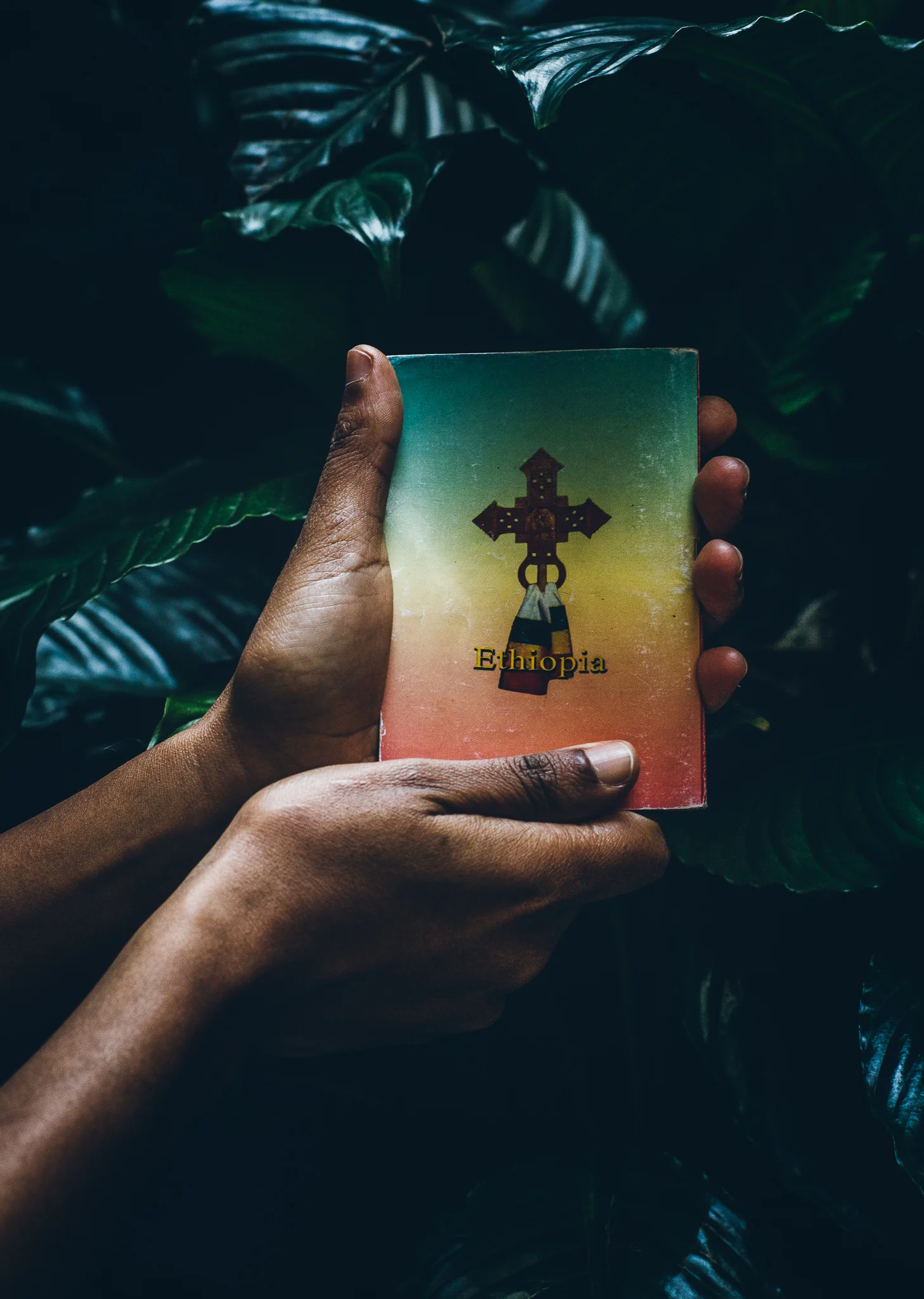 Inna Shnayder @Inna.Shnayder-13.jpg