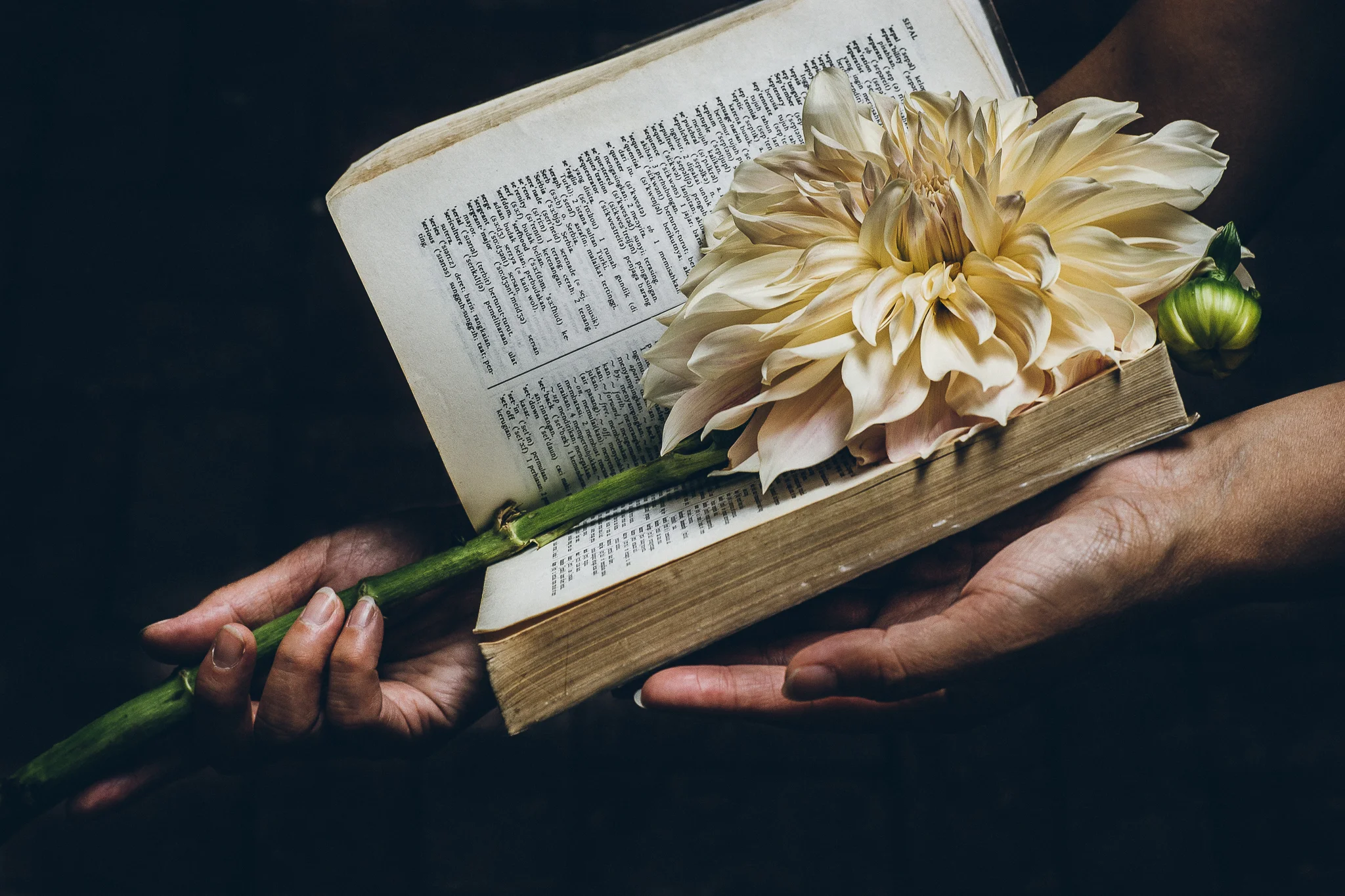 Inna Shnayder @Inna.Shnayder-2.jpg