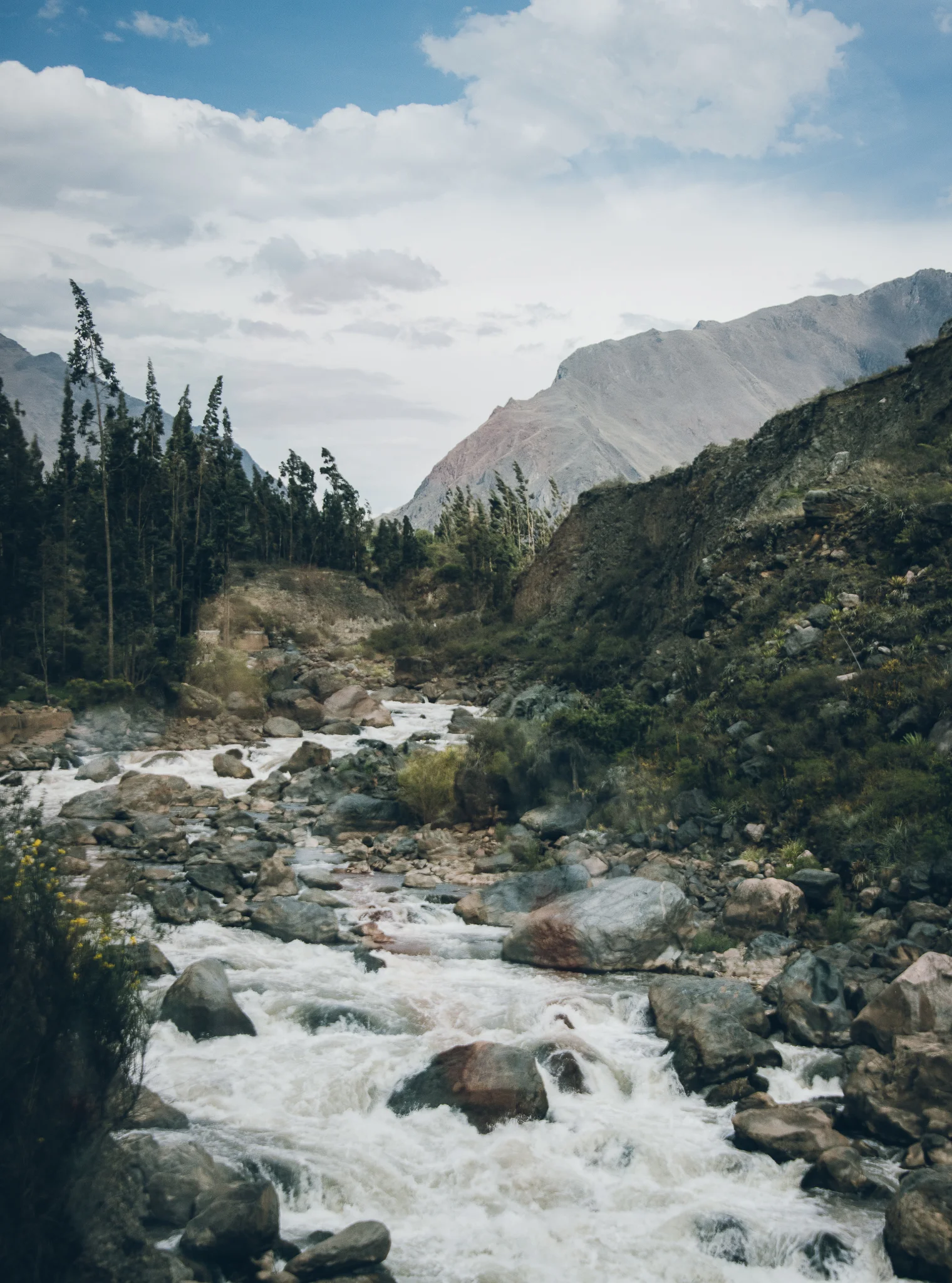 Inna Shnayder @Inna.Shnayder-121.jpg