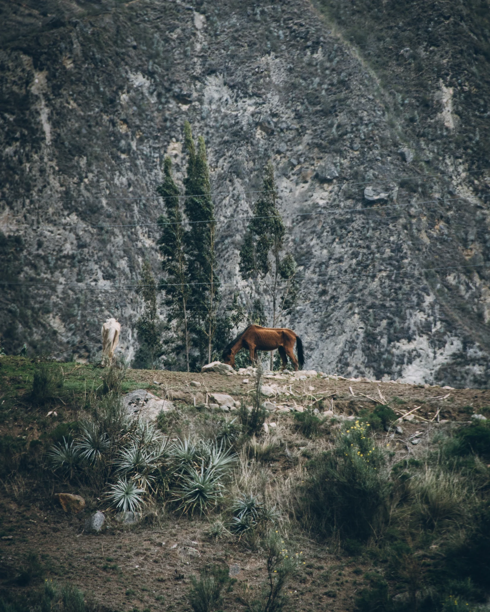 Inna Shnayder @Inna.Shnayder-120.jpg