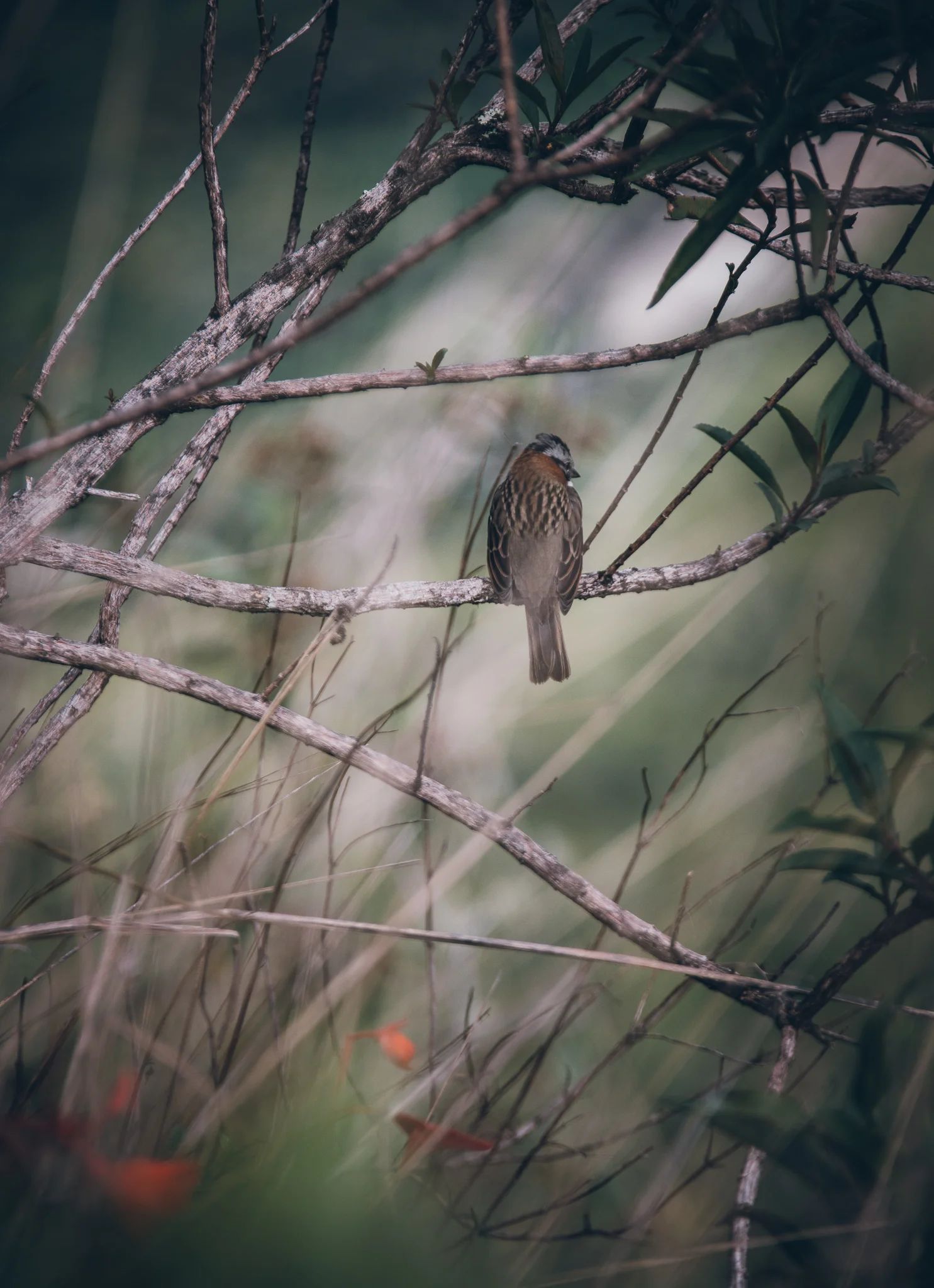 Inna Shnayder @Inna.Shnayder-115.jpg