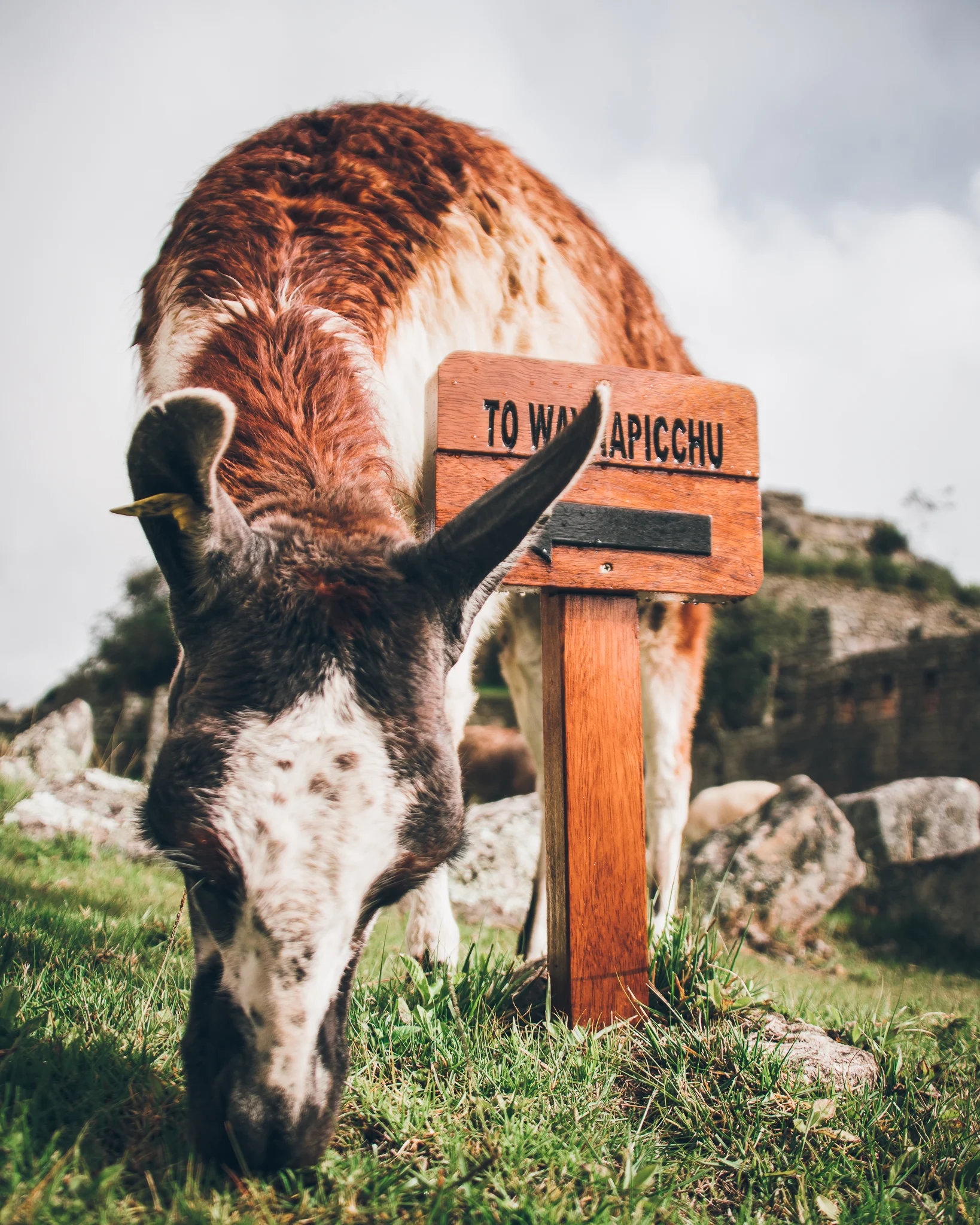 Inna Shnayder @Inna.Shnayder-110.jpg