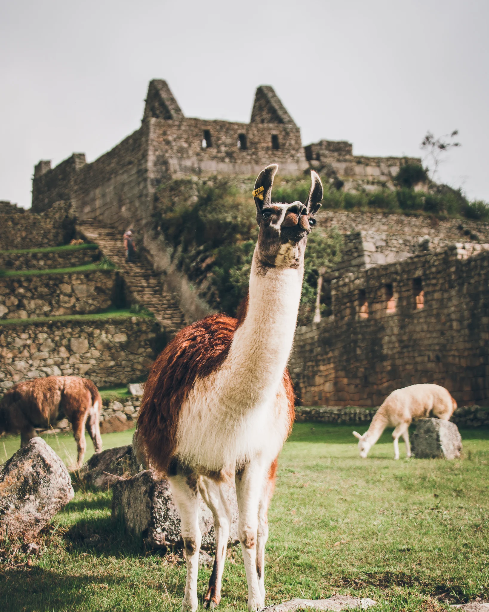 Inna Shnayder @Inna.Shnayder-106.jpg