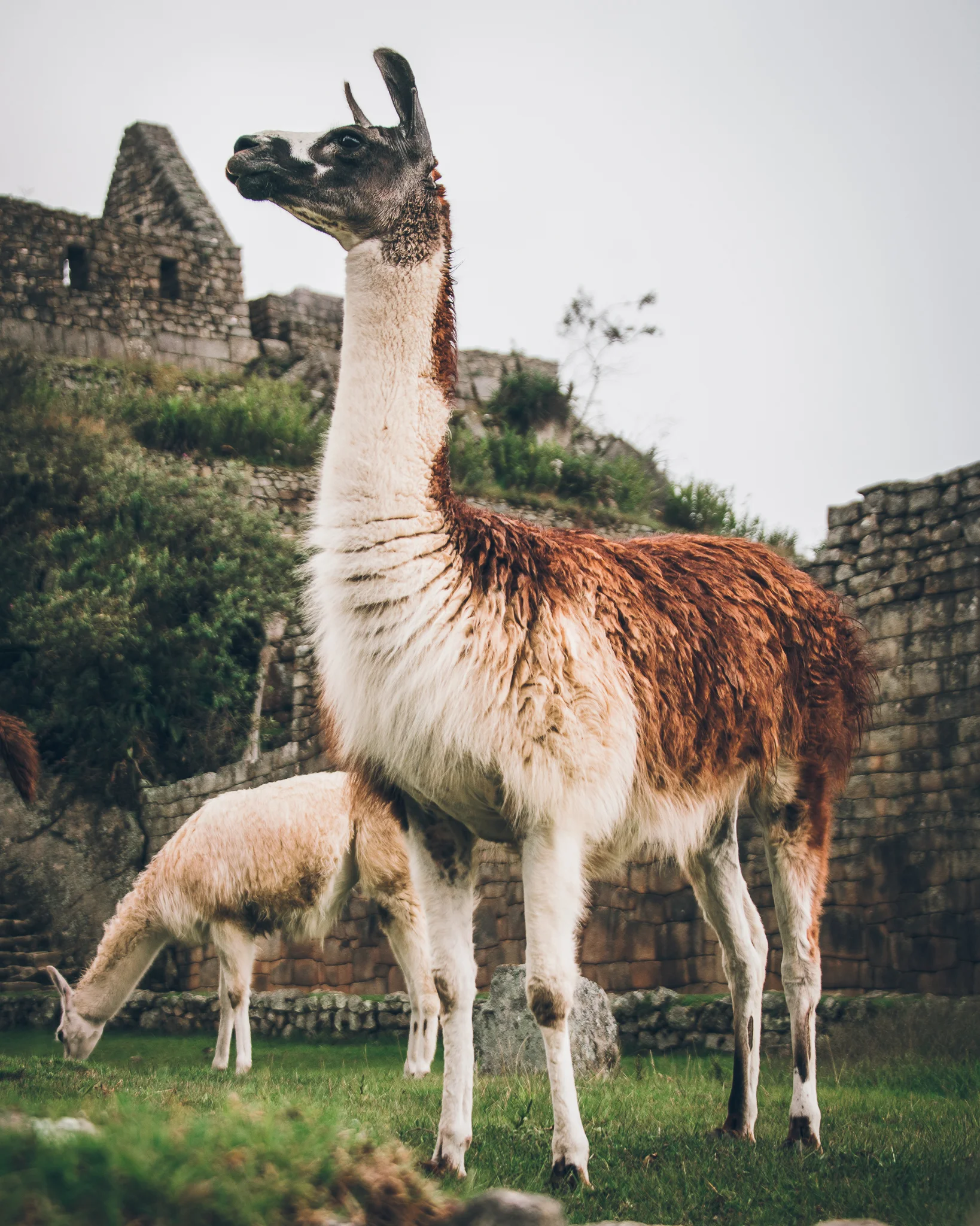 Inna Shnayder @Inna.Shnayder-104.jpg