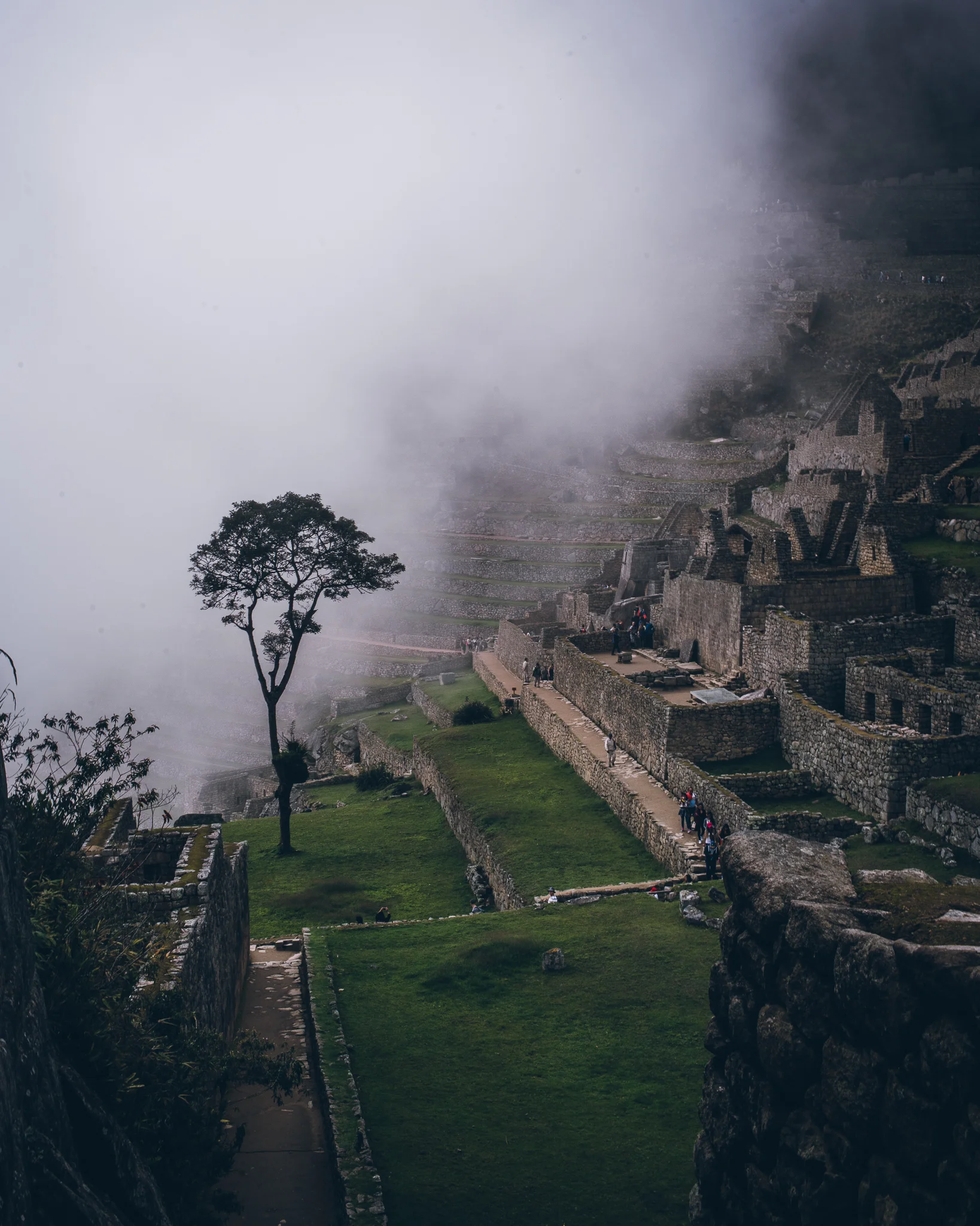 Inna Shnayder @Inna.Shnayder-101.jpg