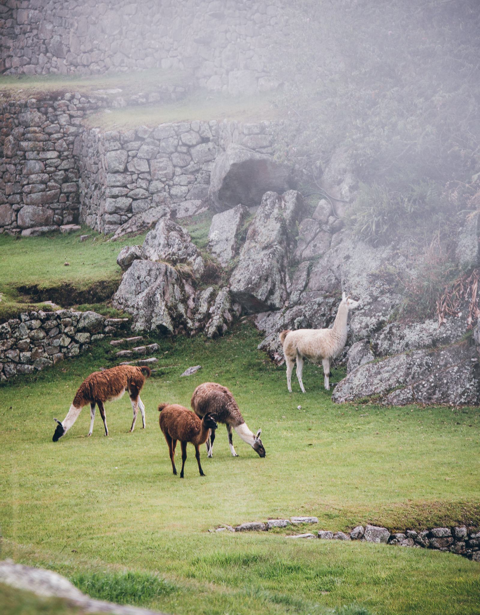 Inna Shnayder @Inna.Shnayder-102.jpg