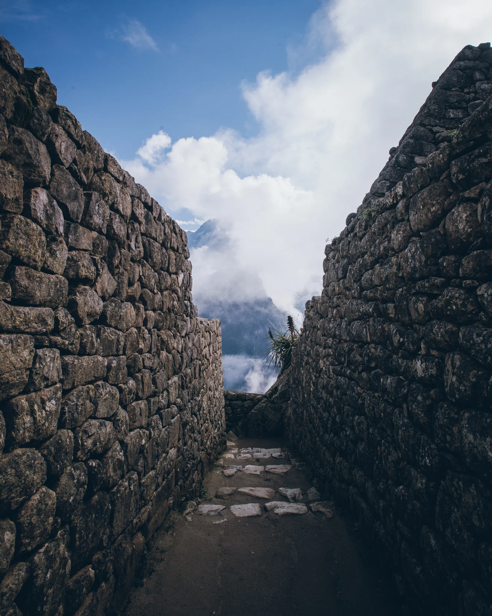 Inna Shnayder @Inna.Shnayder-100.jpg