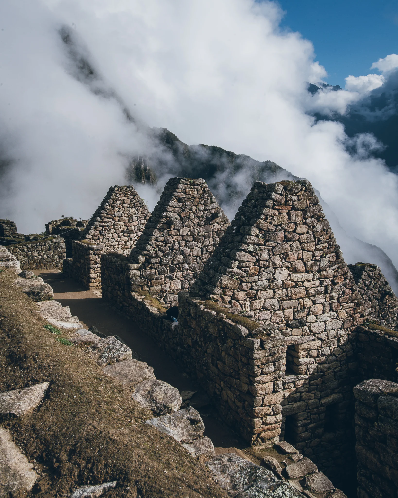 Inna Shnayder @Inna.Shnayder-99.jpg