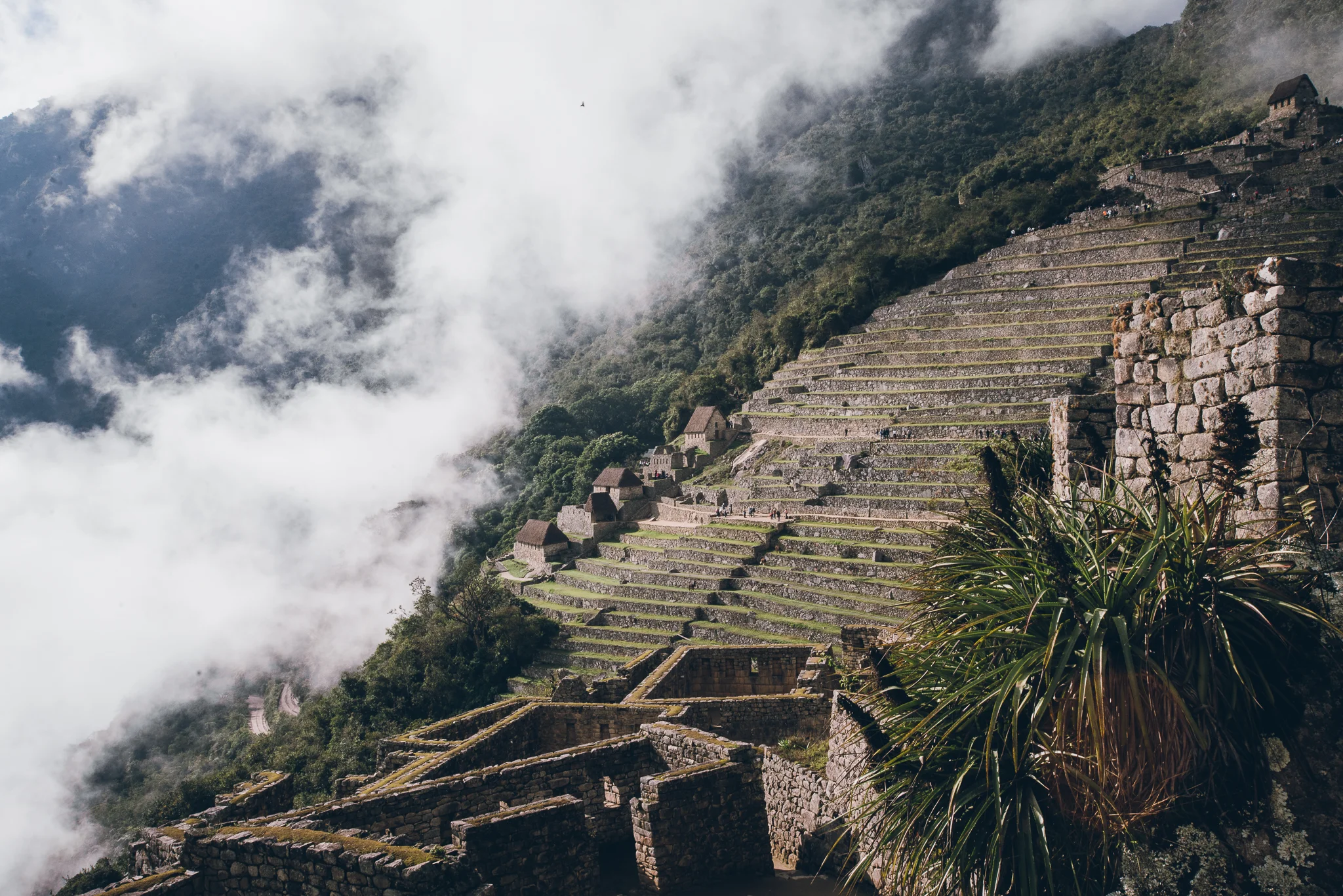 Inna Shnayder @Inna.Shnayder-97.jpg