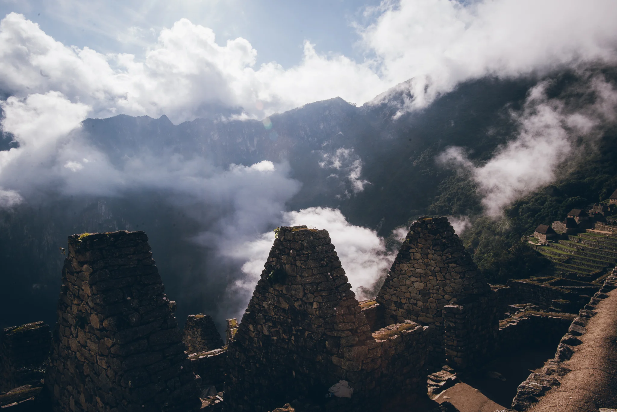 Inna Shnayder @Inna.Shnayder-96.jpg